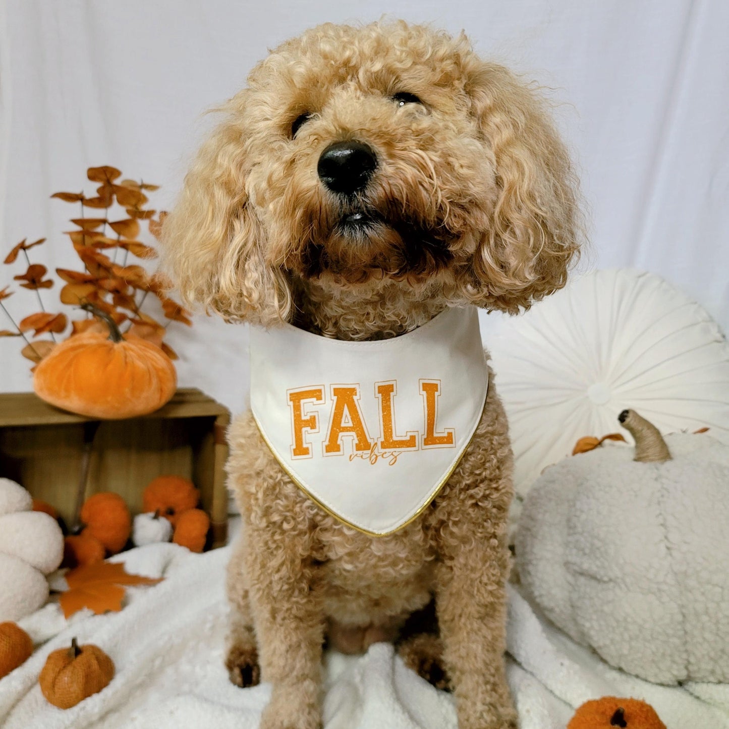 Varsity Fall Vibes Dog Bandana