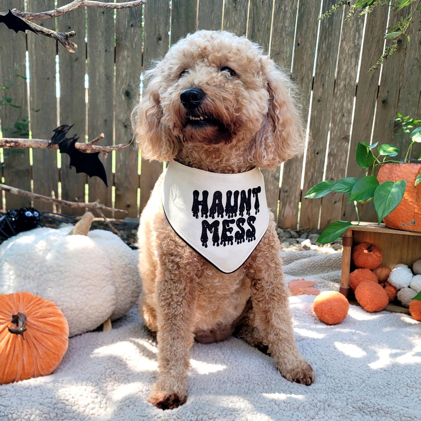 Haunt Mess Halloween Dog Bandana With or Without Ruffle Trim