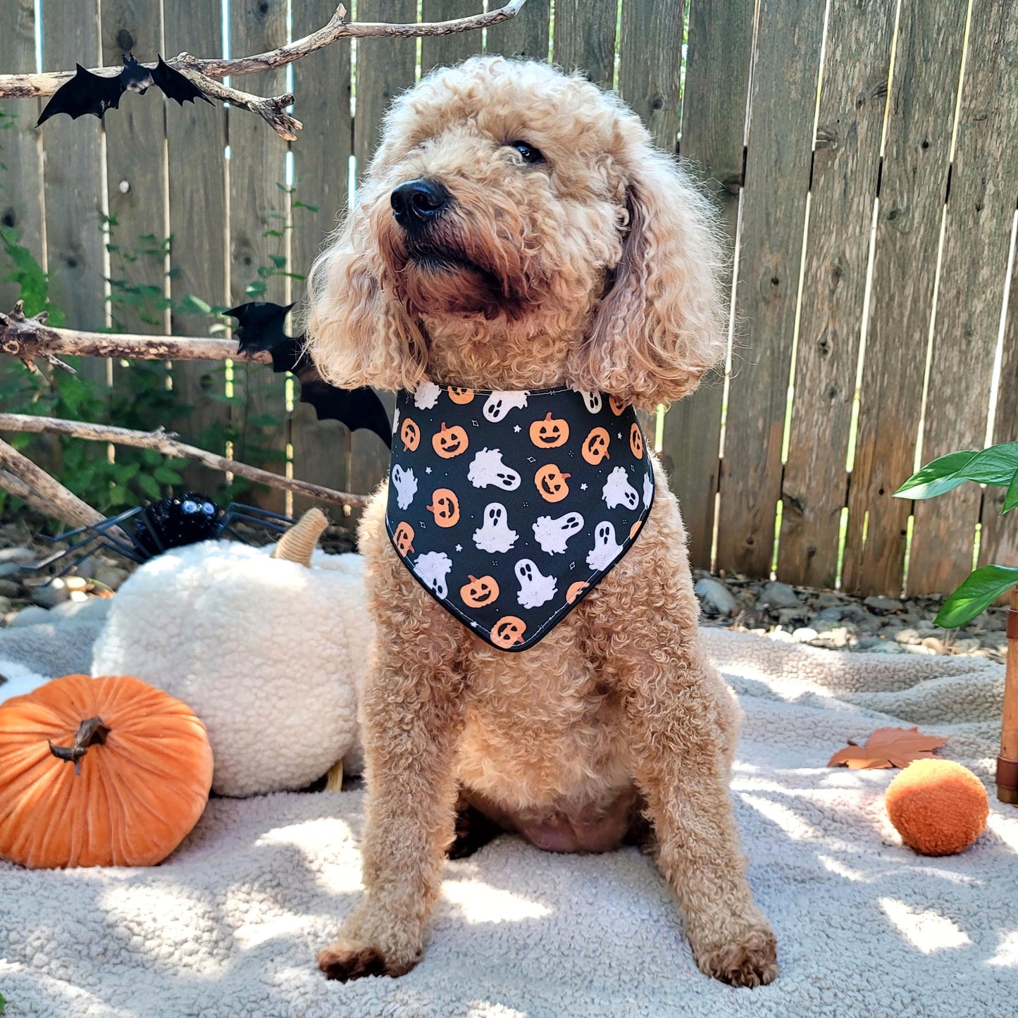 Haunt Mess Halloween Dog Bandana With or Without Ruffle Trim