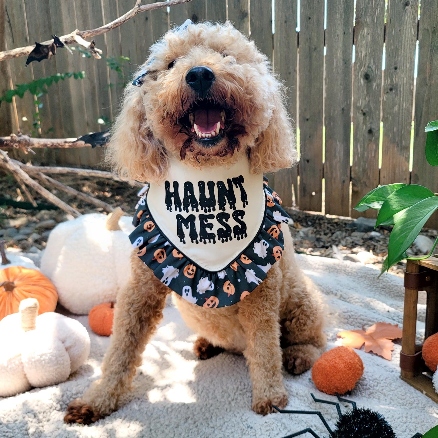 Haunt Mess Halloween Dog Bandana With or Without Ruffle Trim