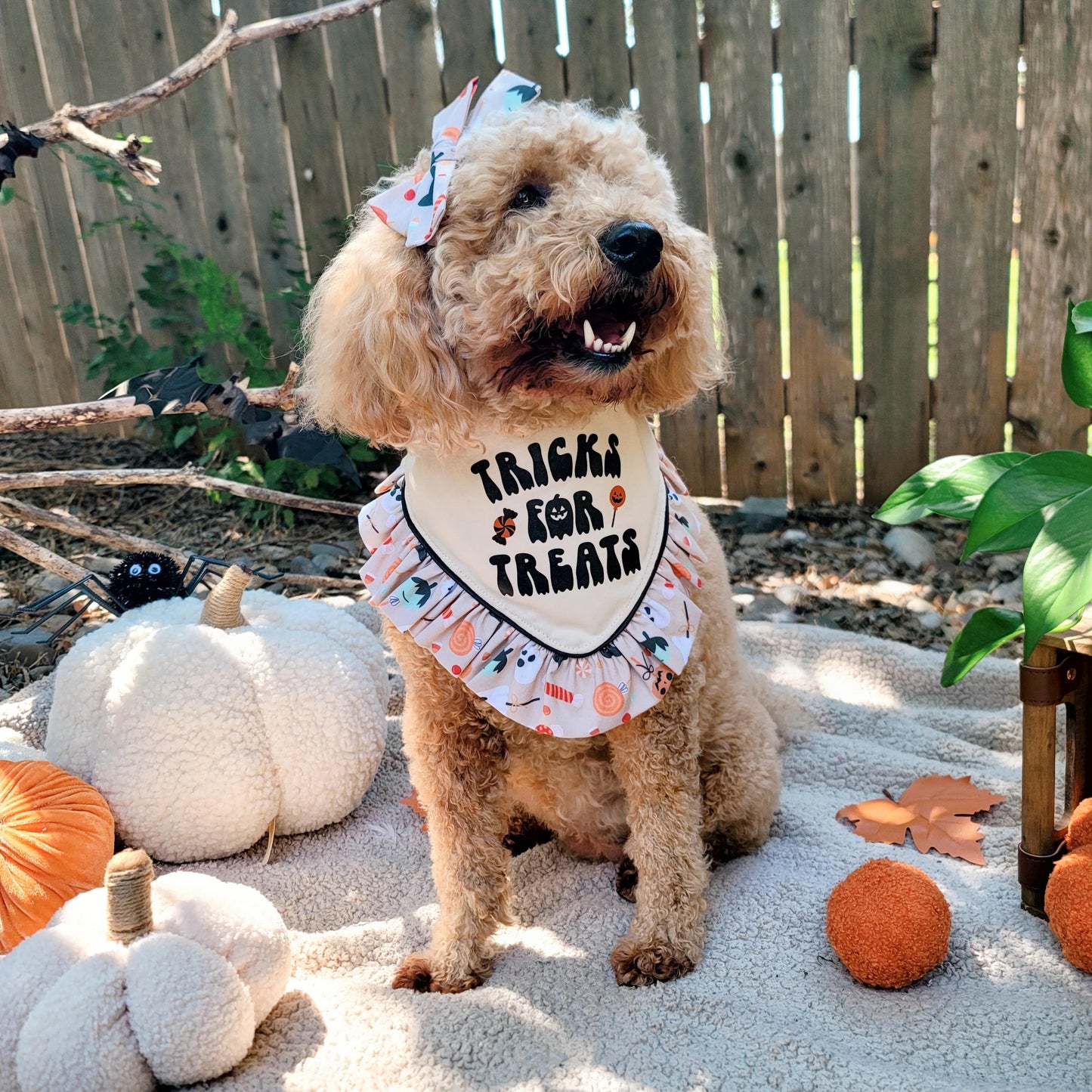 Tricks For Treats Halloween Dog Bandana With or Without Ruffle Trim
