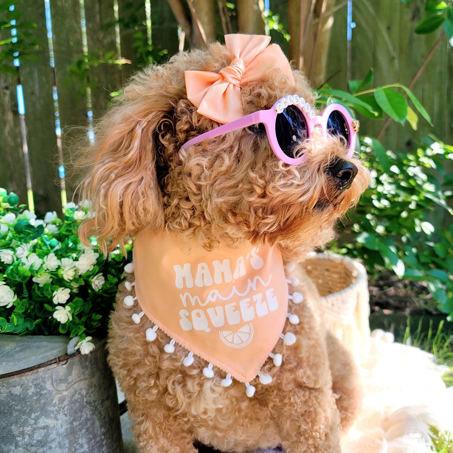 Mama's Main Squeeze Dog Bandana