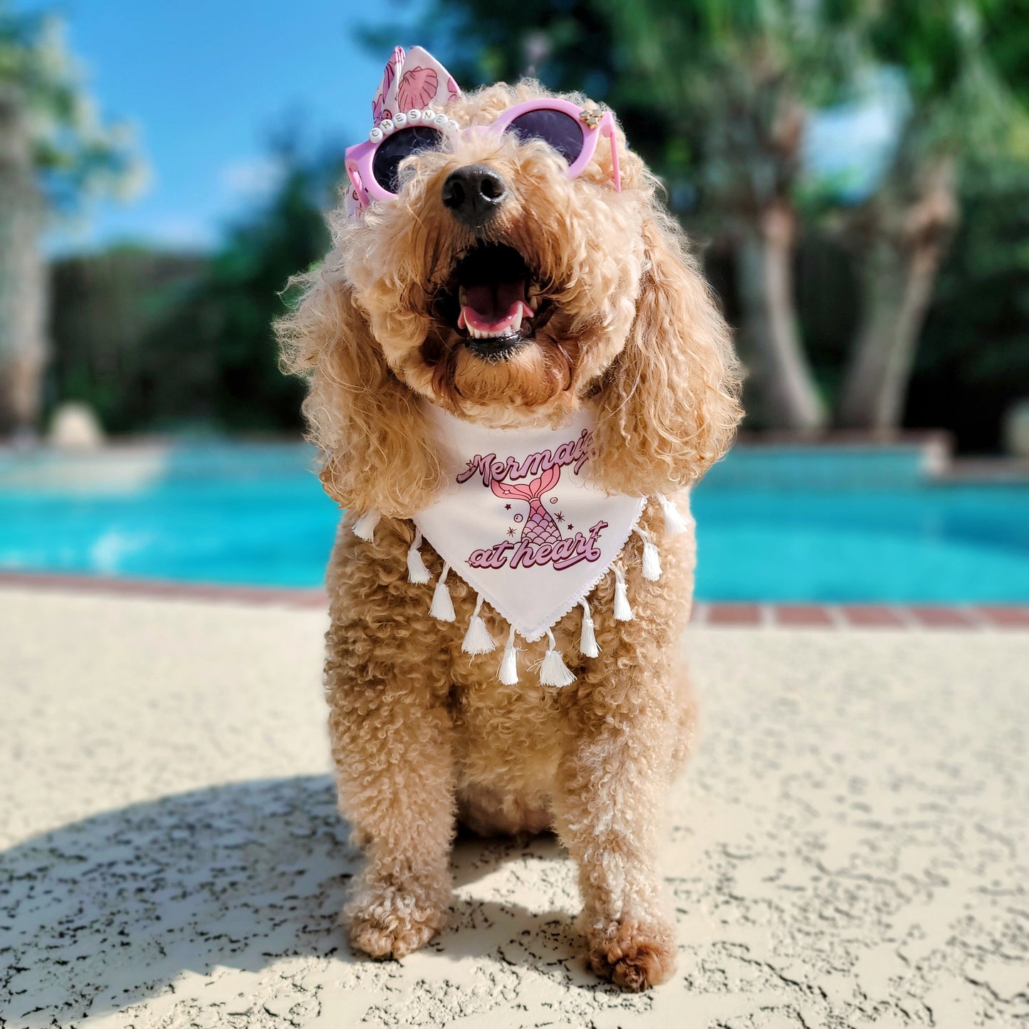Mermaid At Heart - Reversible Snap On Dog Bandana - With White Tassel Trim