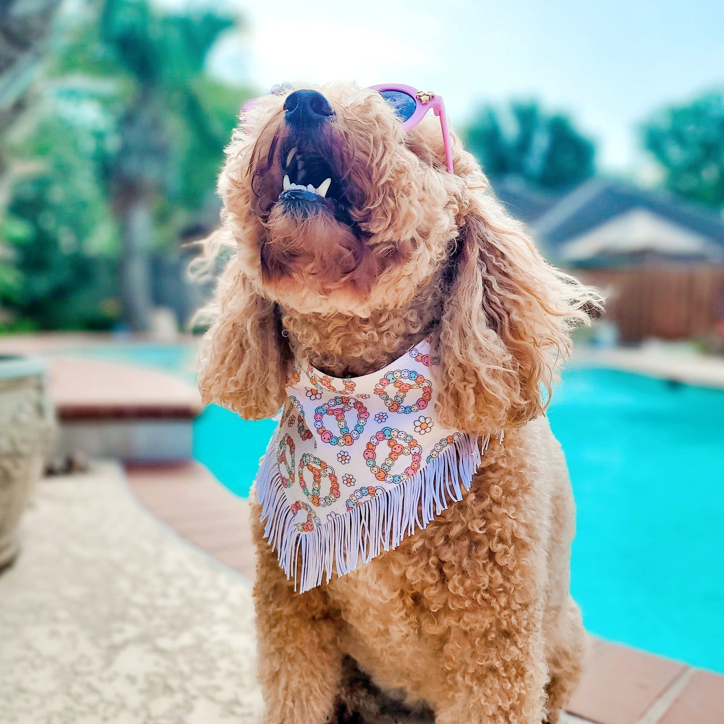 Retro Smiley Face Peace Sign - Reversible Snap On Dog Bandana - With Short White Fringe