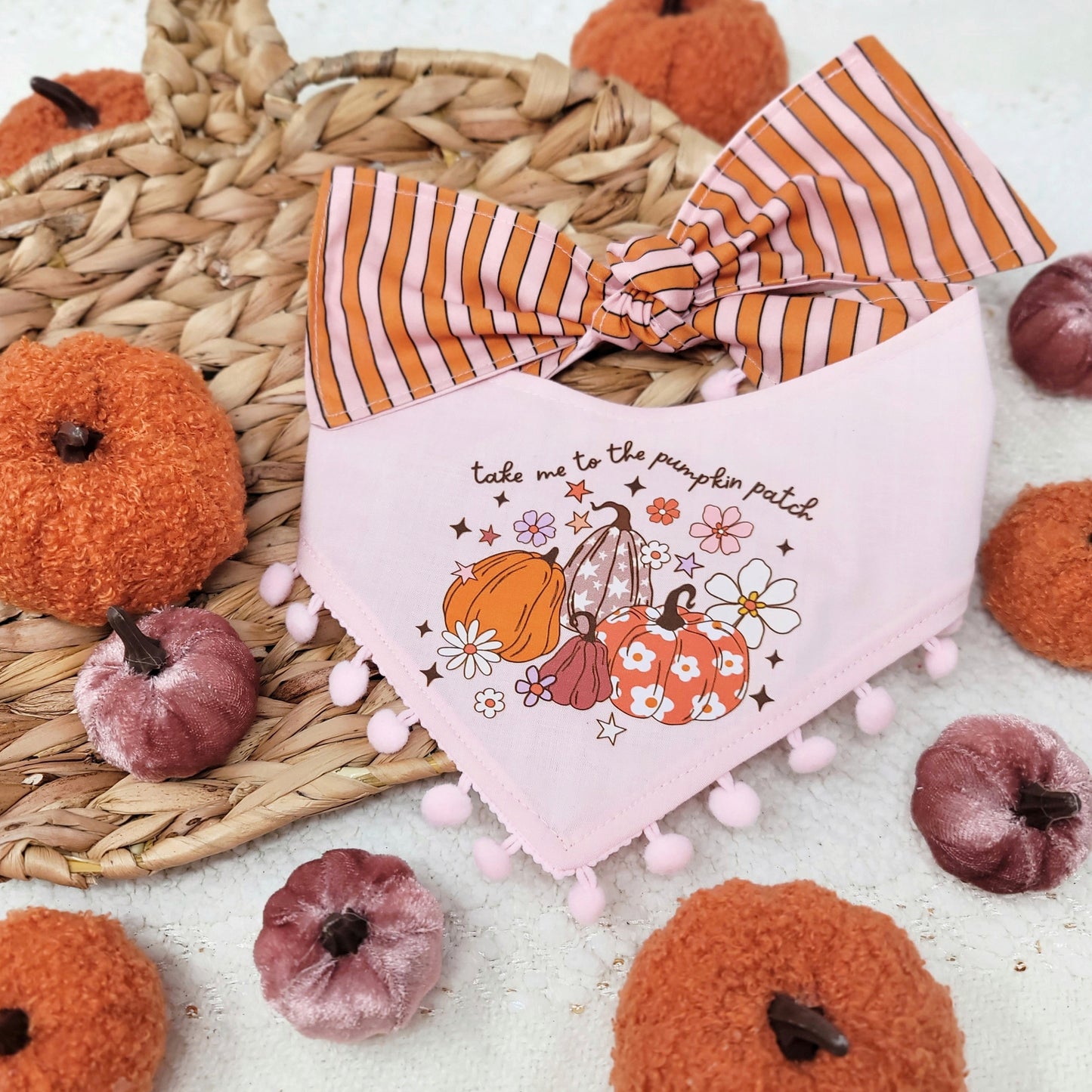 Take Me to The Pumpkin Patch Dog Bandana With or Without Trim