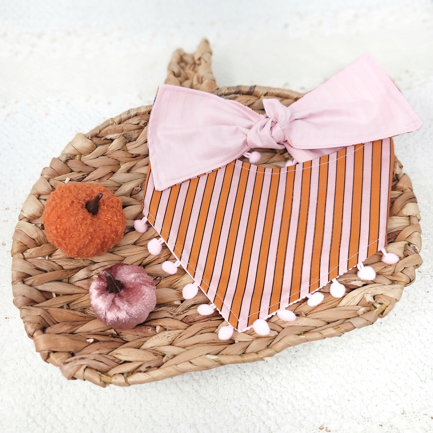 Take Me to The Pumpkin Patch Dog Bandana With or Without Trim