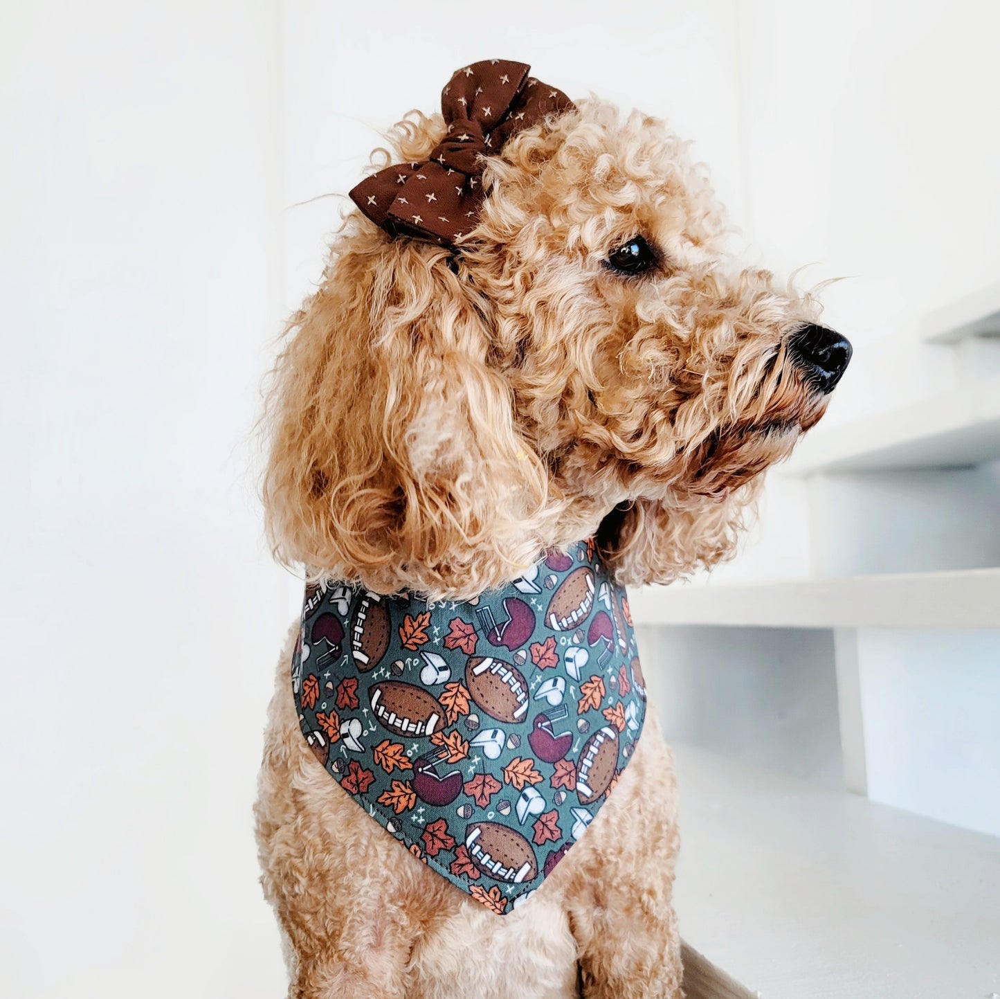 Fall Ball Dog Bandana With or Without Trim