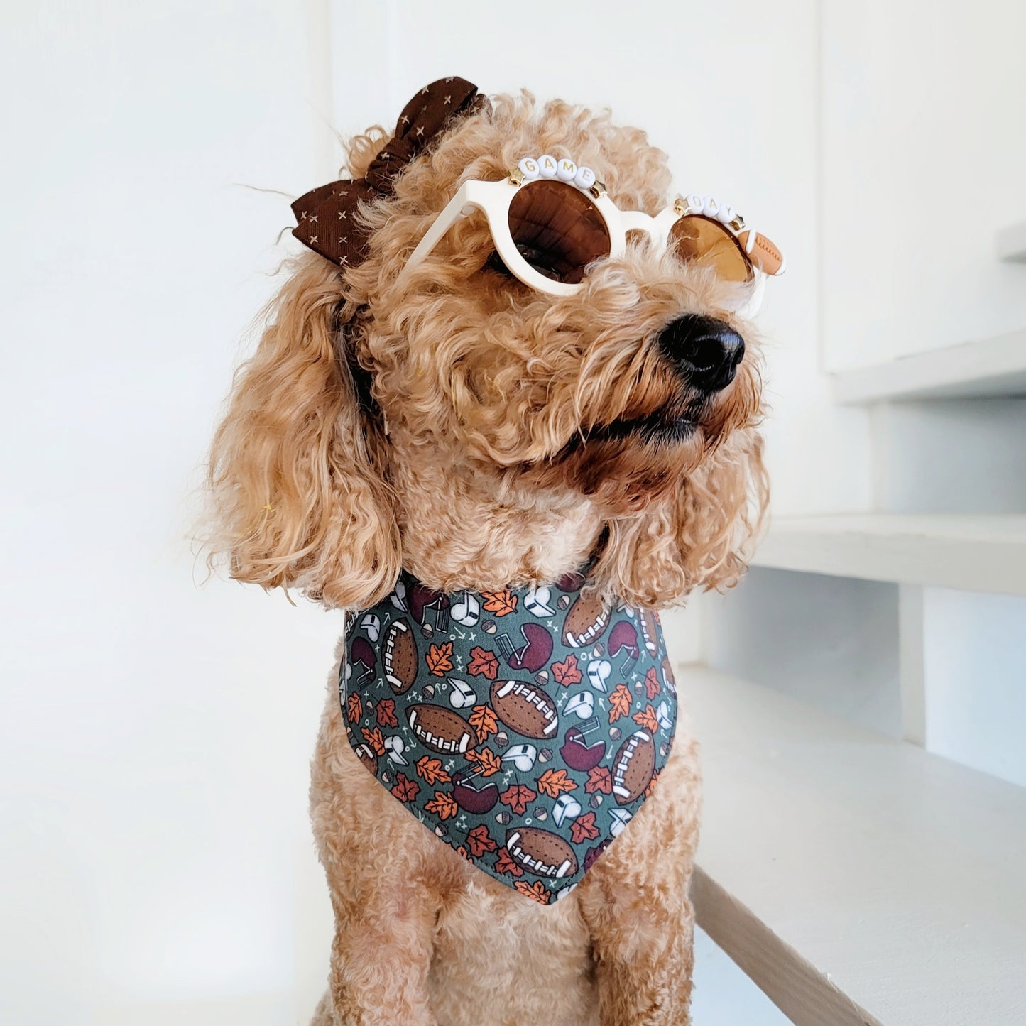 Fall Ball Dog Bandana With or Without Trim