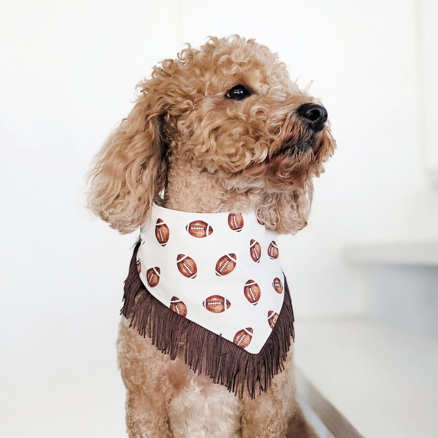 Vintage Football Dog Bandana With or Without Trim