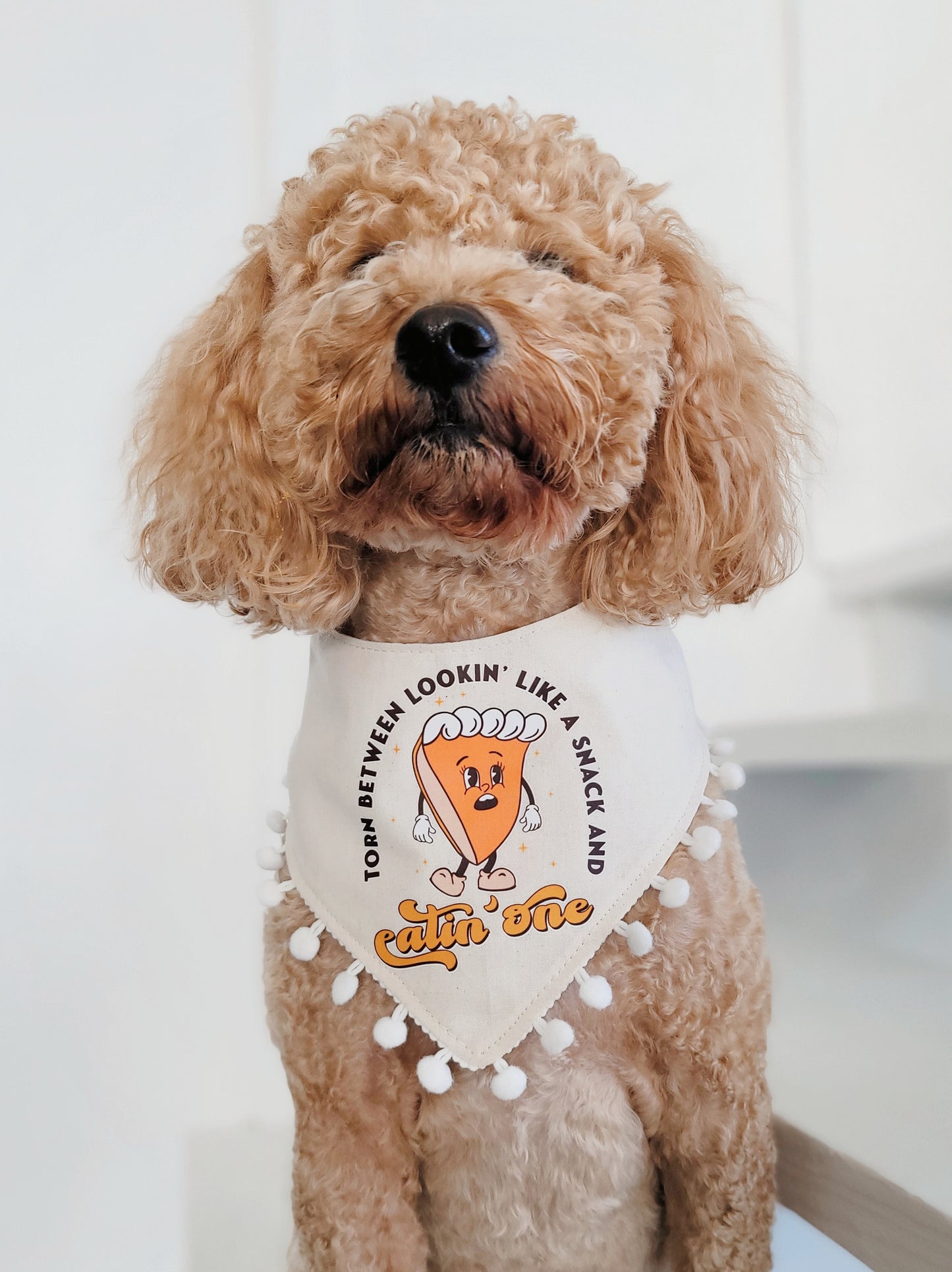 Pumpkin Pie Reversible Dog Bandana With or Without Trim