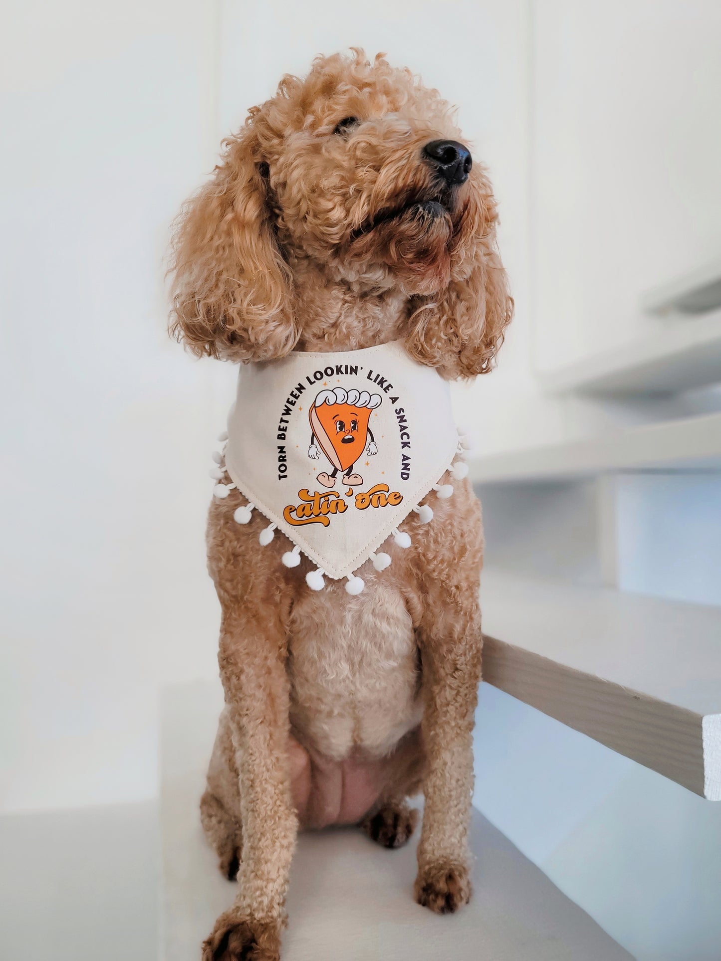 Pumpkin Pie Reversible Dog Bandana With or Without Trim