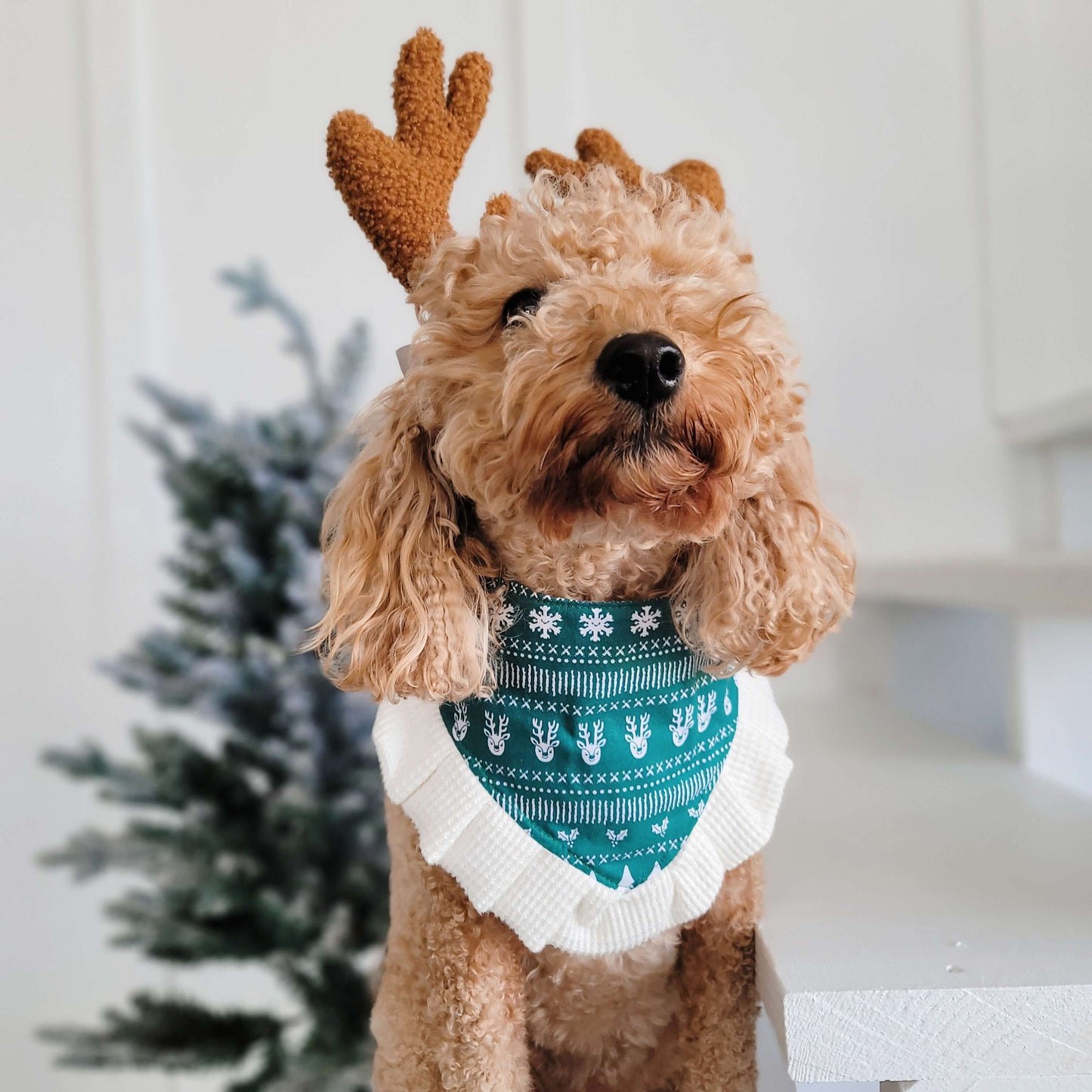 Winter Wonderland Snap On Dog Bandana With or Without Ruffle