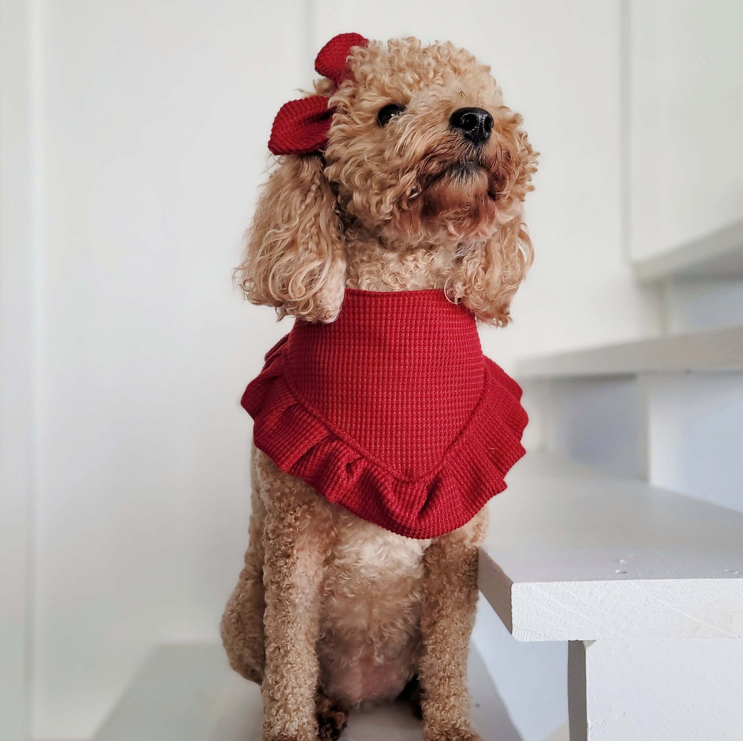 White and Red Plaid Snap On Dog Bandana With or Without Ruffle