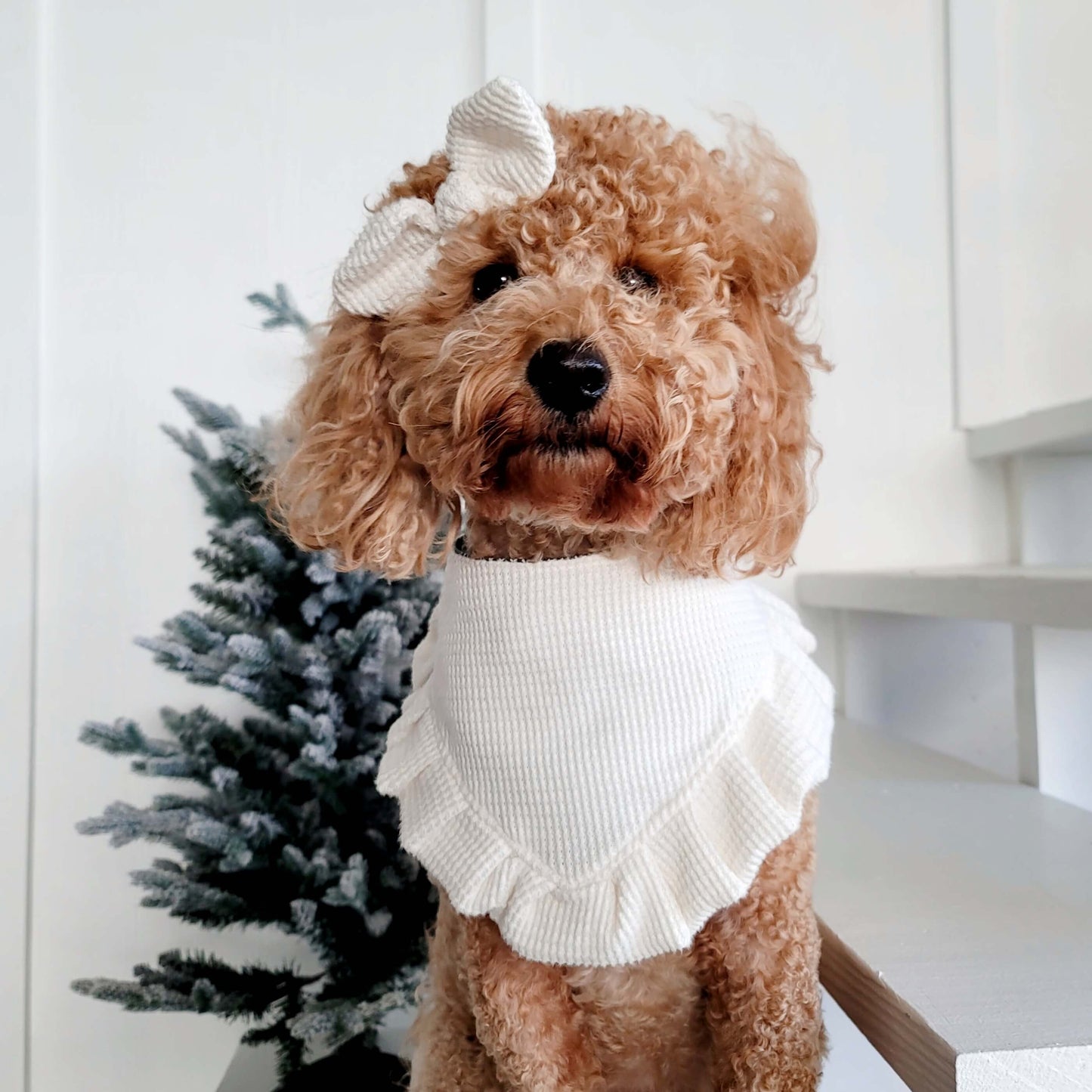 Winter Wonderland Snap On Dog Bandana With or Without Ruffle