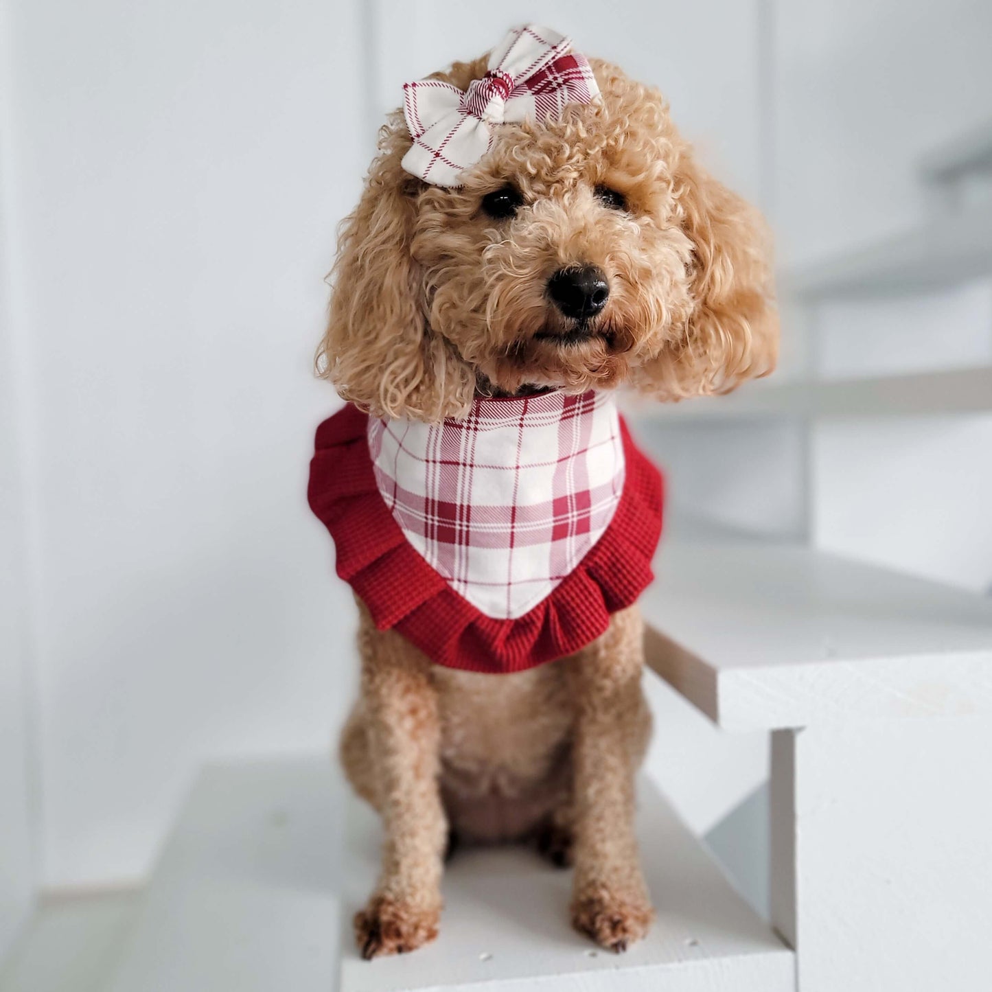White and Red Plaid Snap On Dog Bandana With or Without Ruffle