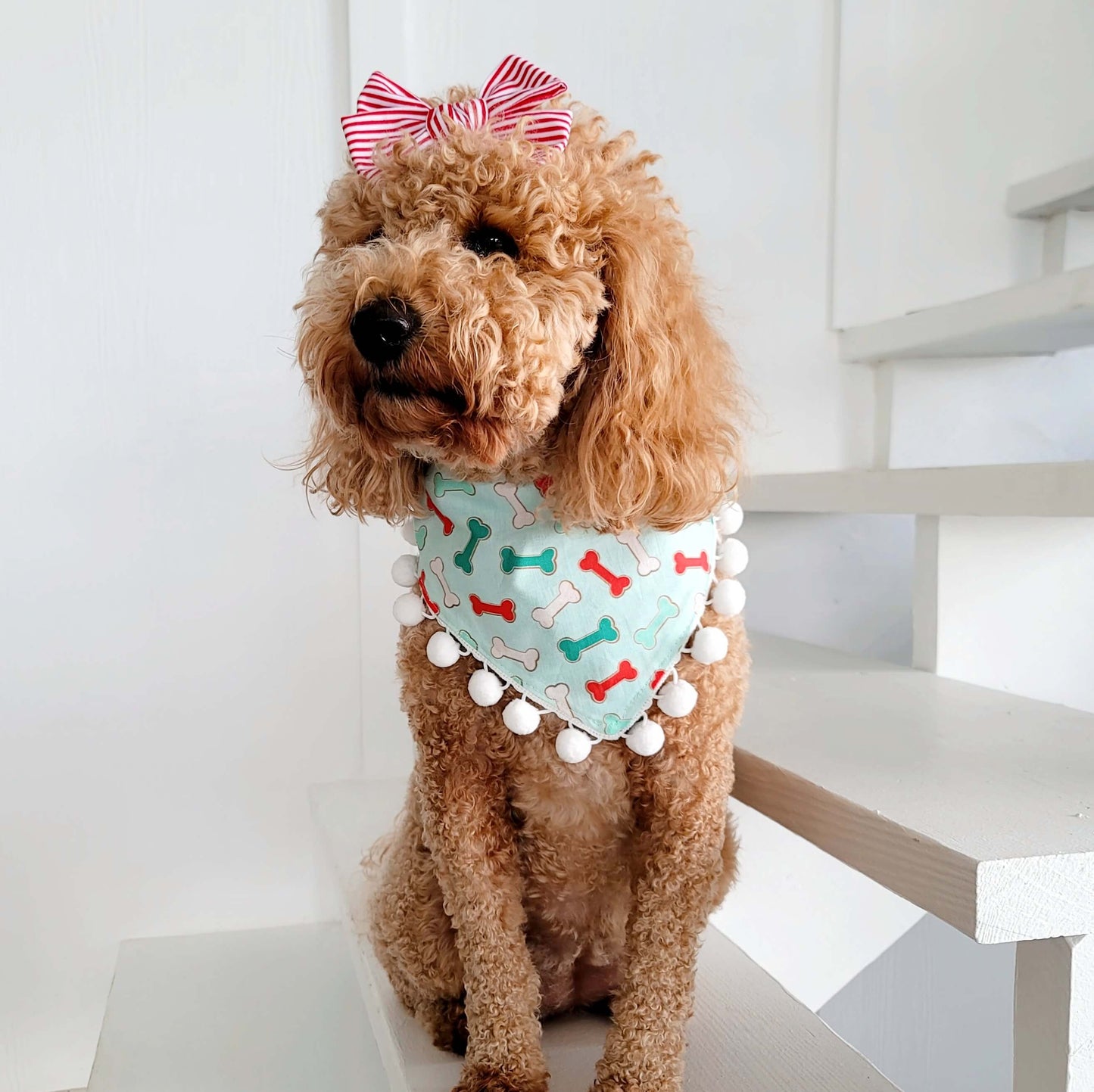 Official Cookie Tester Snap On Or Tie On Dog Bandana With or Without Pom Pom Trim