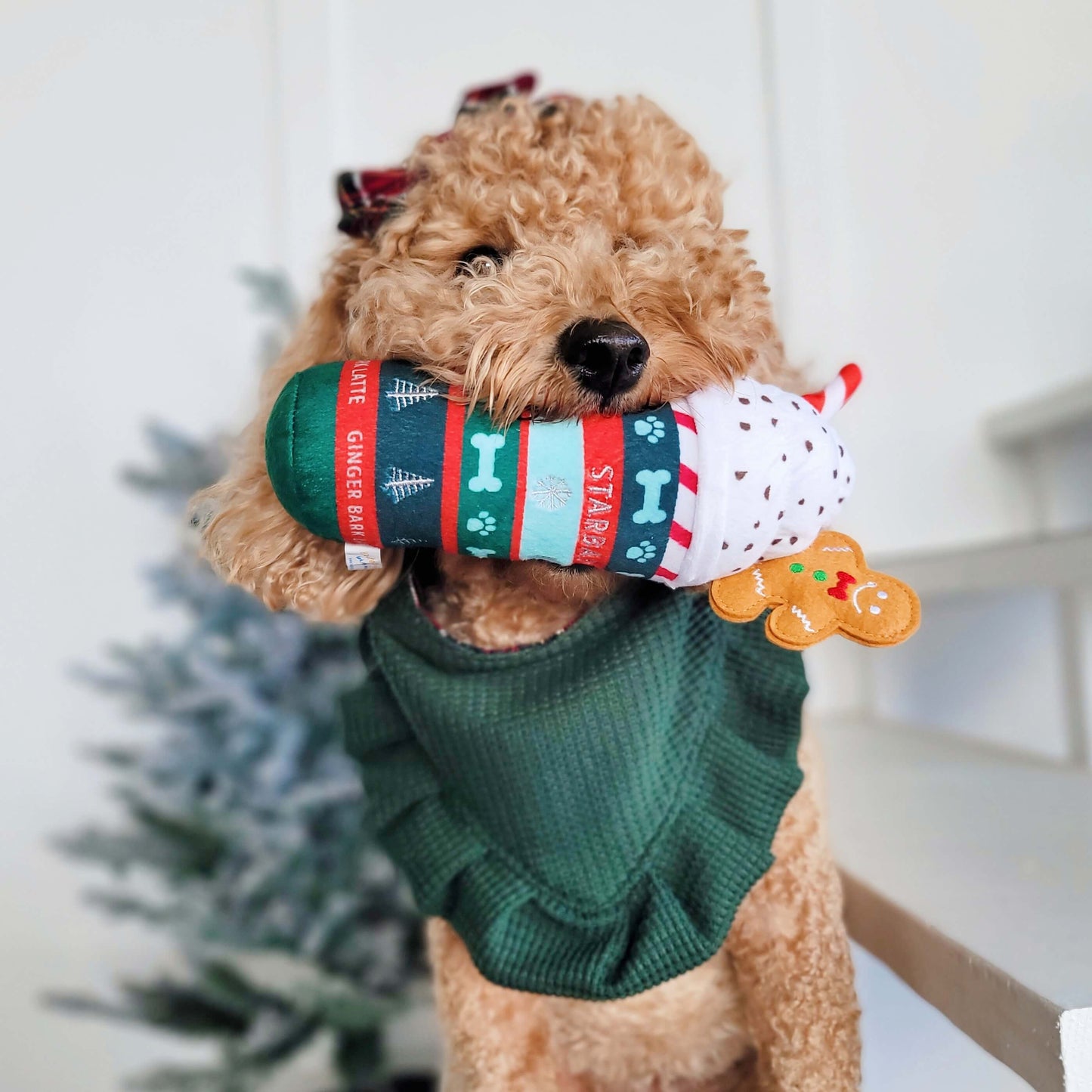 Starbarks Ginger Bark Latte Christmas Dog Toy