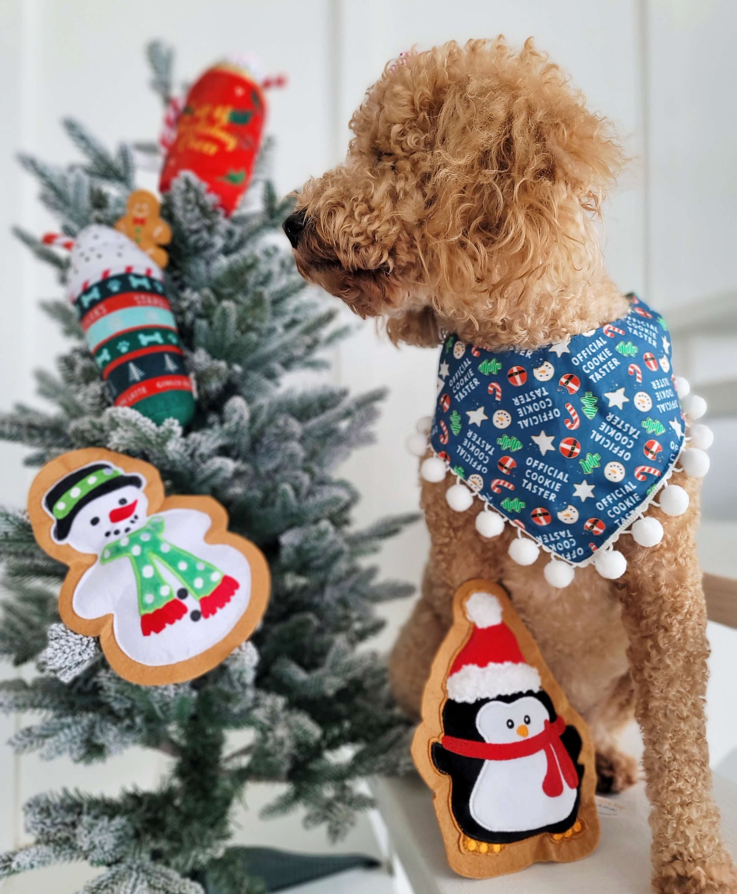 Christmas Penguin Cookie Toy