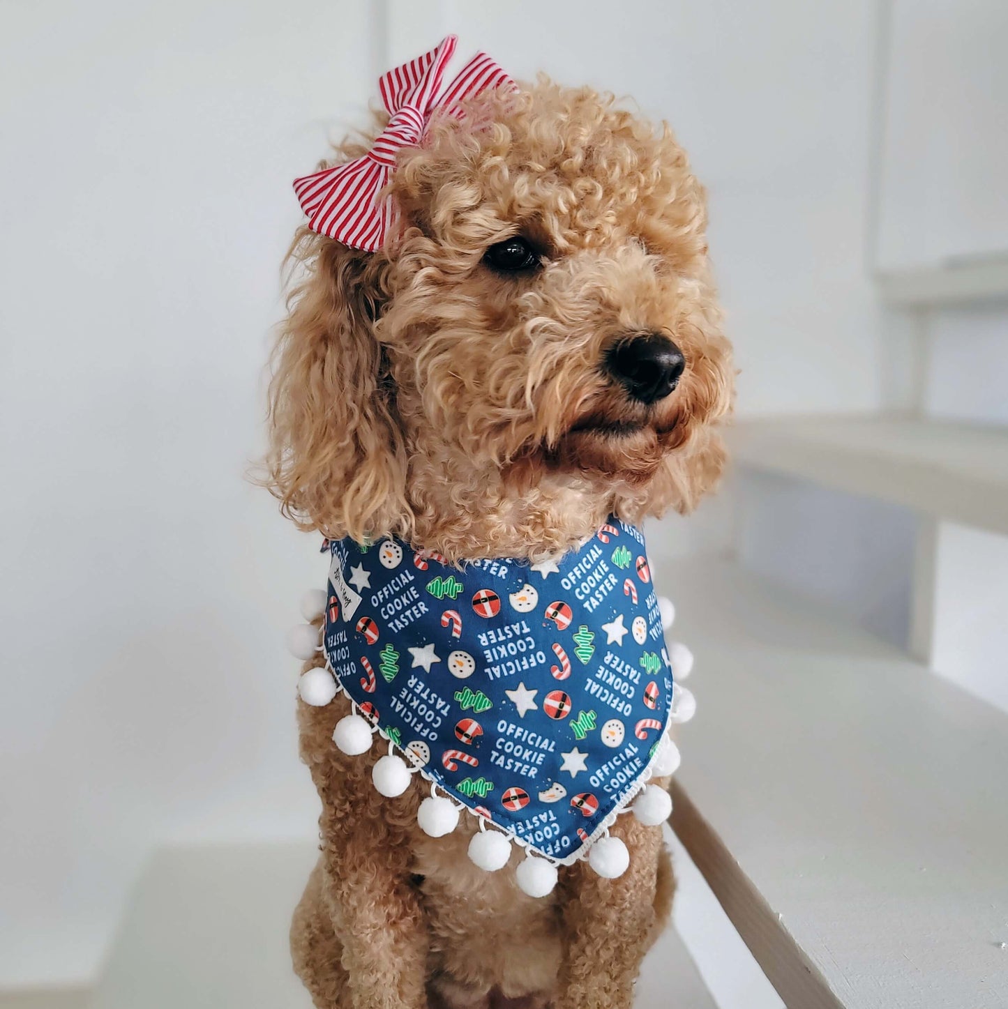 Official Cookie Tester Snap On Or Tie On Dog Bandana With or Without Pom Pom Trim