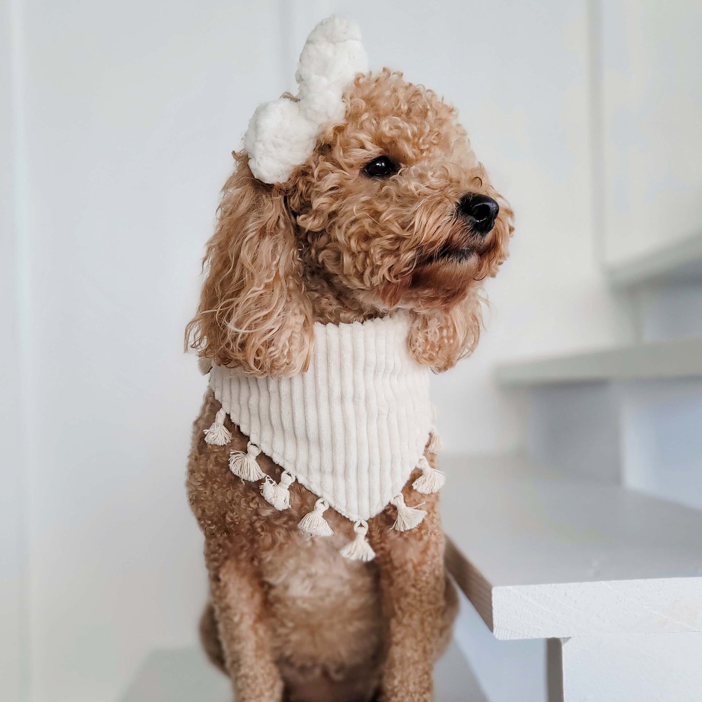 Comfy and Cozy Sherpa Snap On Dog Bandana With or Without Trim