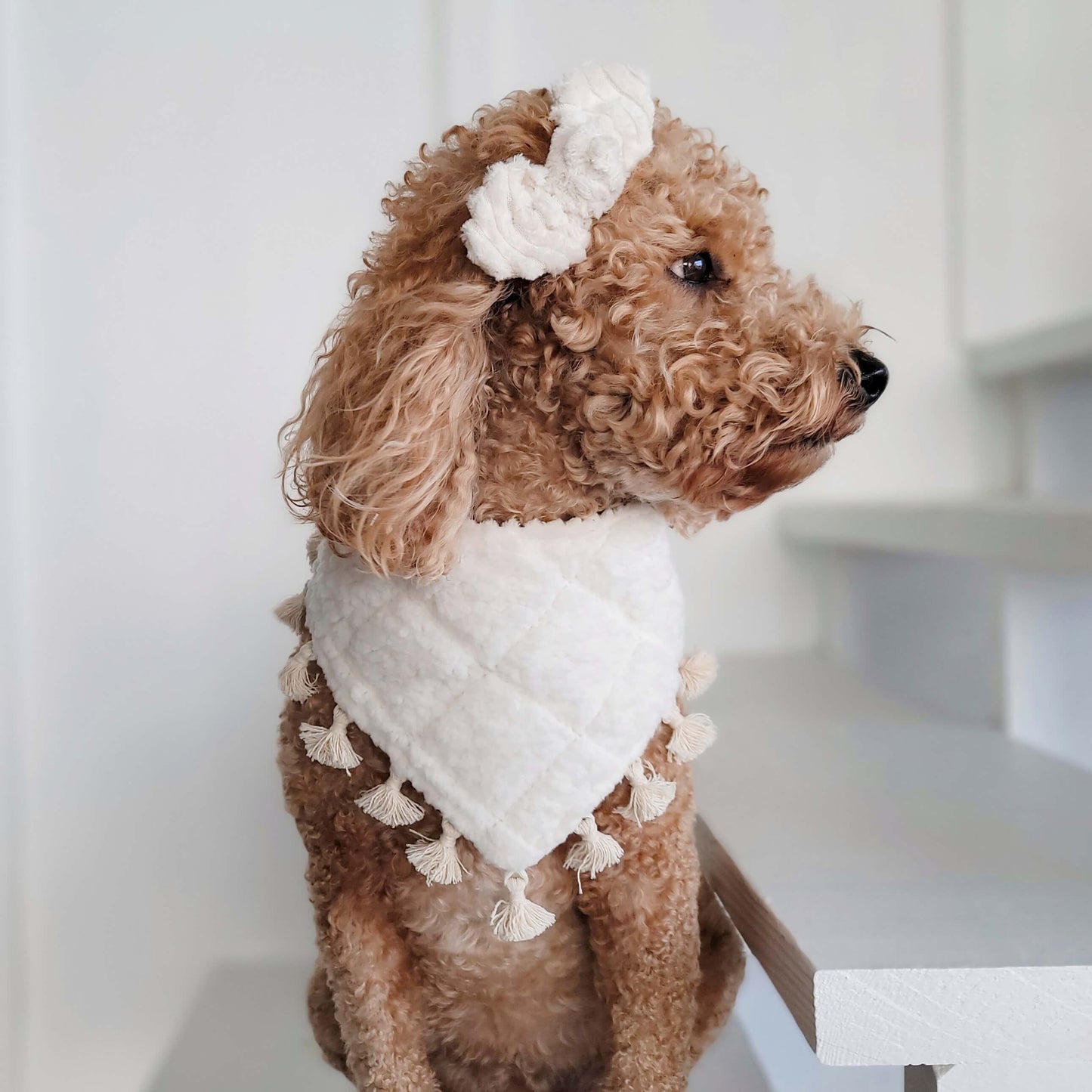 Comfy and Cozy Sherpa Snap On Dog Bandana With or Without Trim