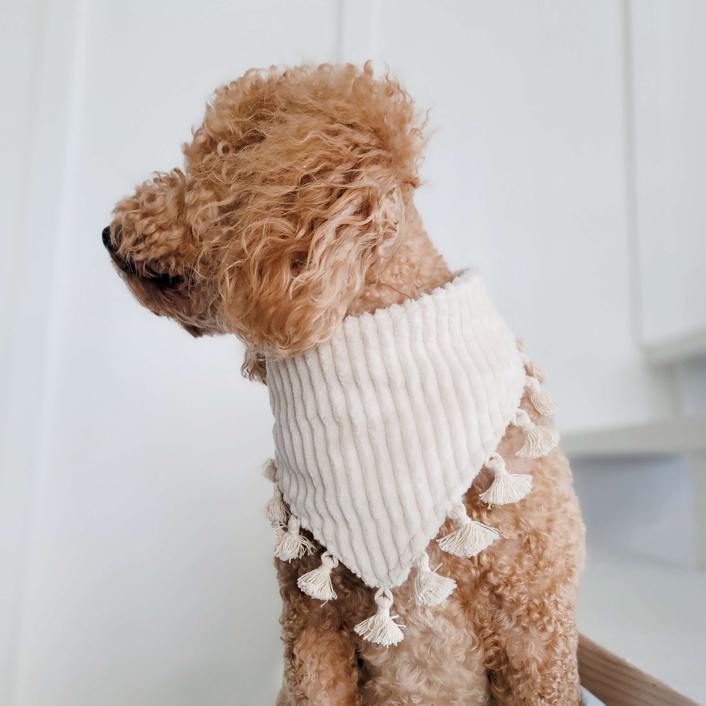 Comfy and Cozy Sherpa Snap On Dog Bandana With or Without Trim