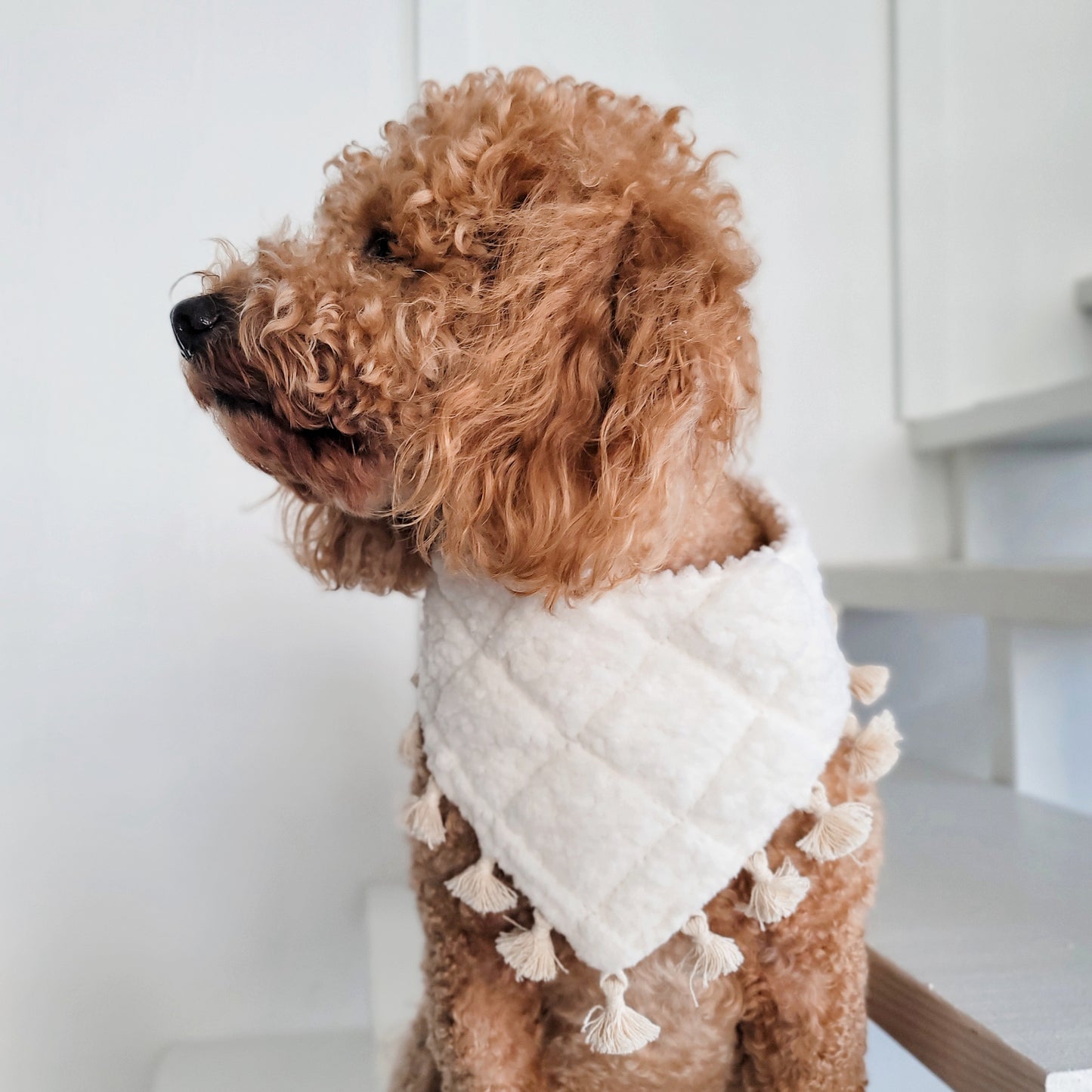 Comfy and Cozy Sherpa Snap On Dog Bandana With or Without Trim