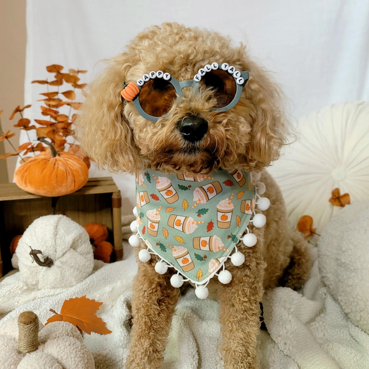Green Pumpkin Spice Dog Bandana With or Without Pom Pom Trim