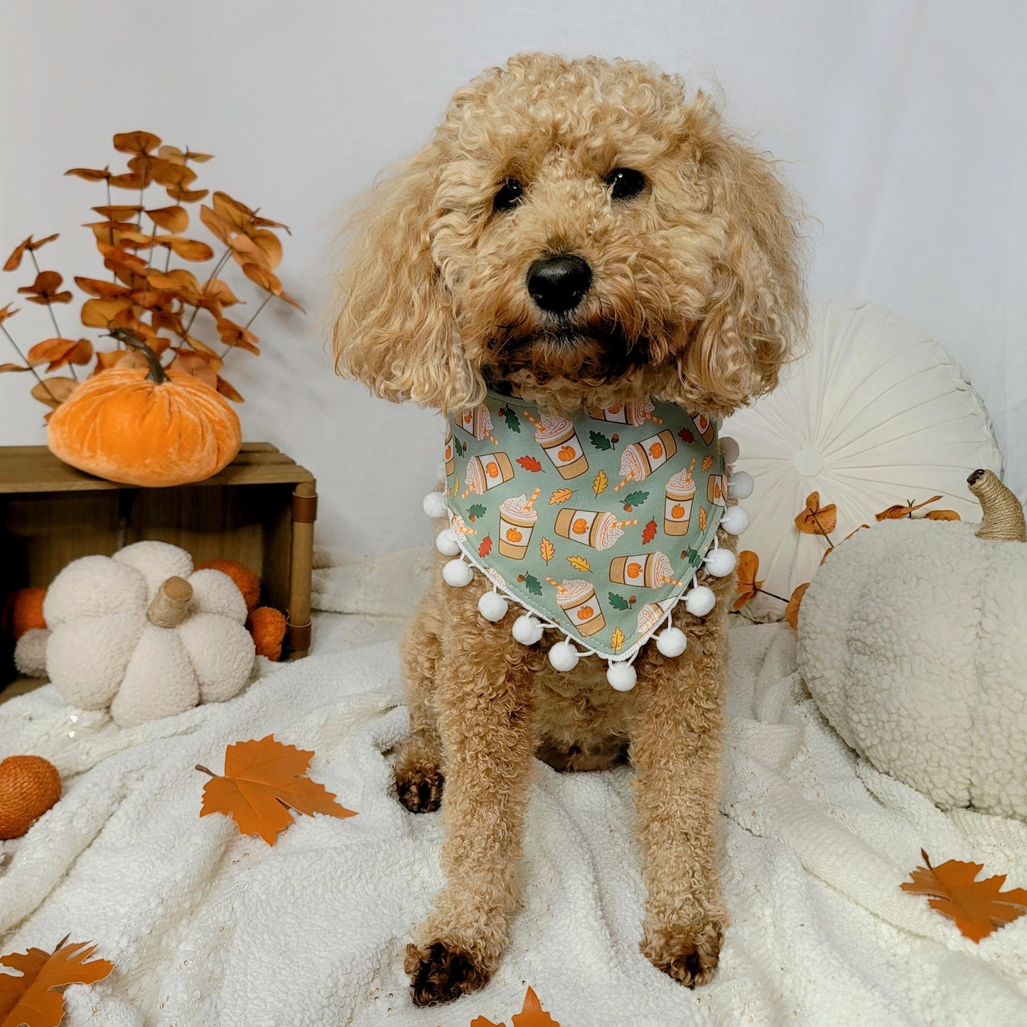 Green Pumpkin Spice Dog Bandana With or Without Pom Pom Trim
