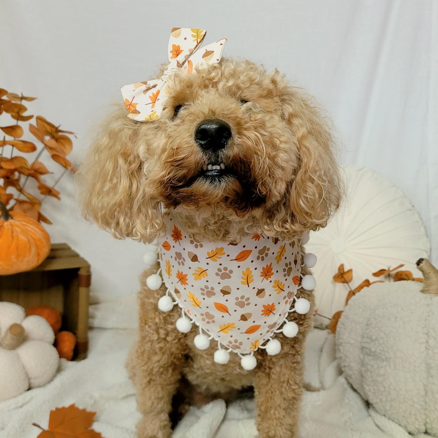 Paw Prints and Fall Leaves Saylor Hair Bow