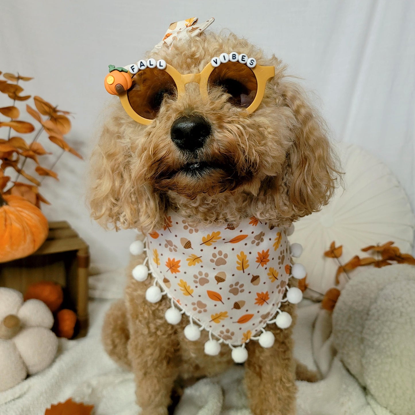 Pink Pumpkin Spice Dog Bandana With or Without Pom Pom Trim