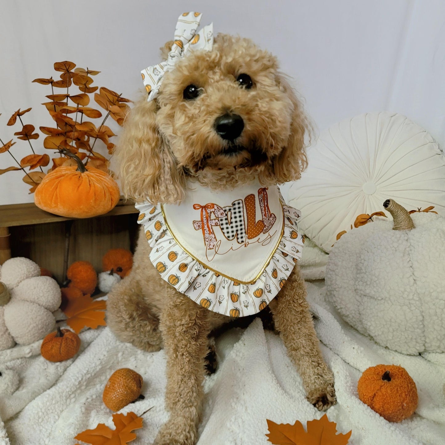 Preppy Fall Vibes Dog Bandana With or Without Ruffle Trim