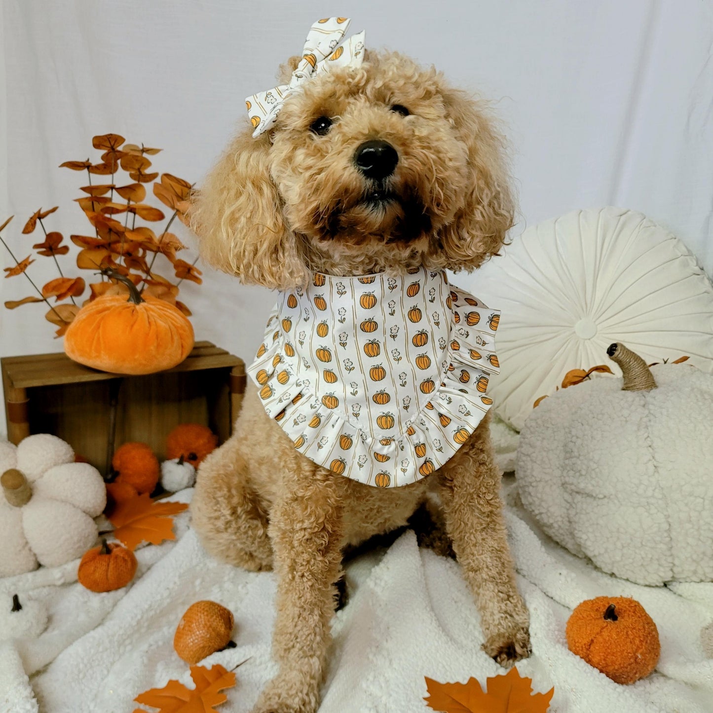 Preppy Fall Vibes Dog Bandana With or Without Ruffle Trim