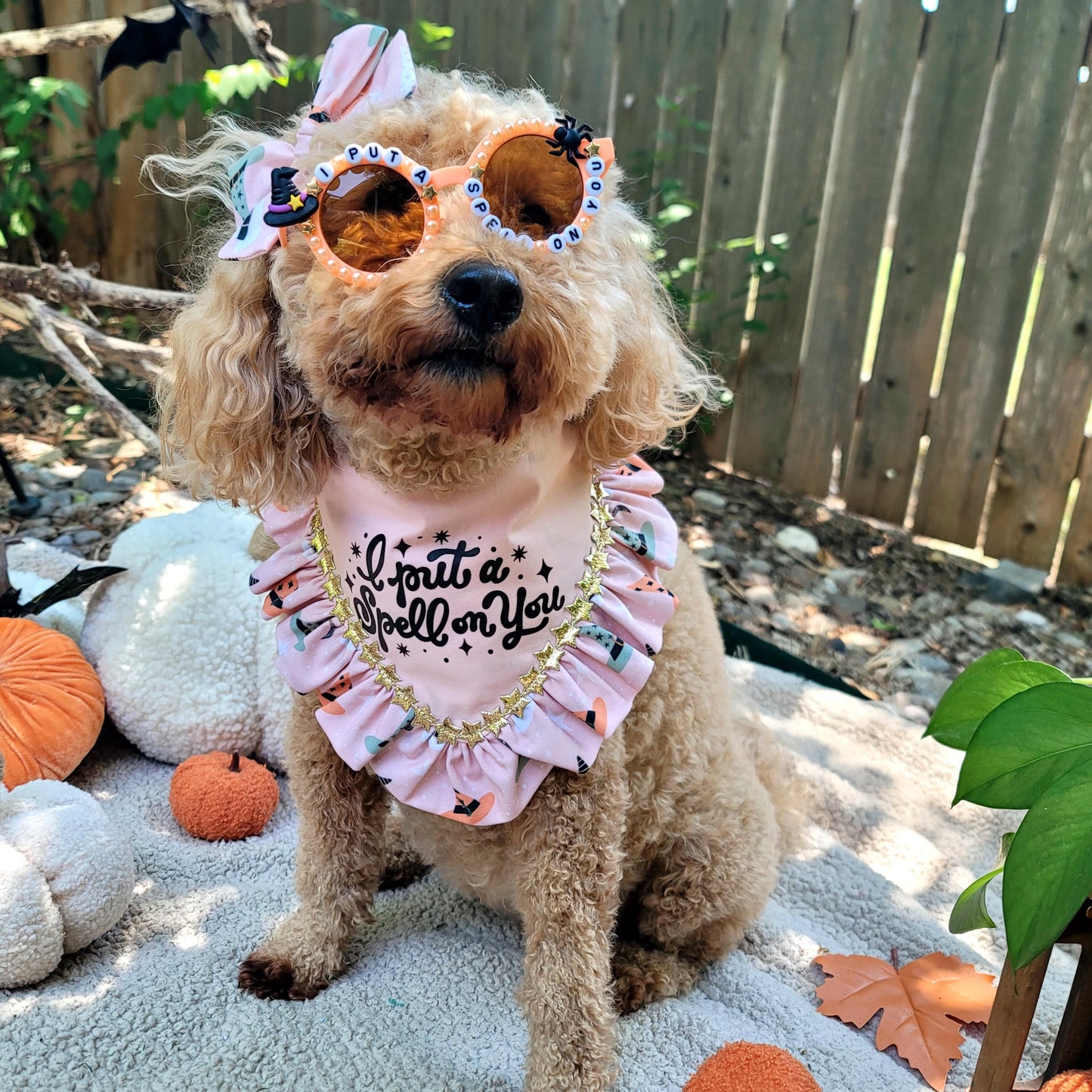 I Put a Spell On You Halloween Beaded Sunglasses