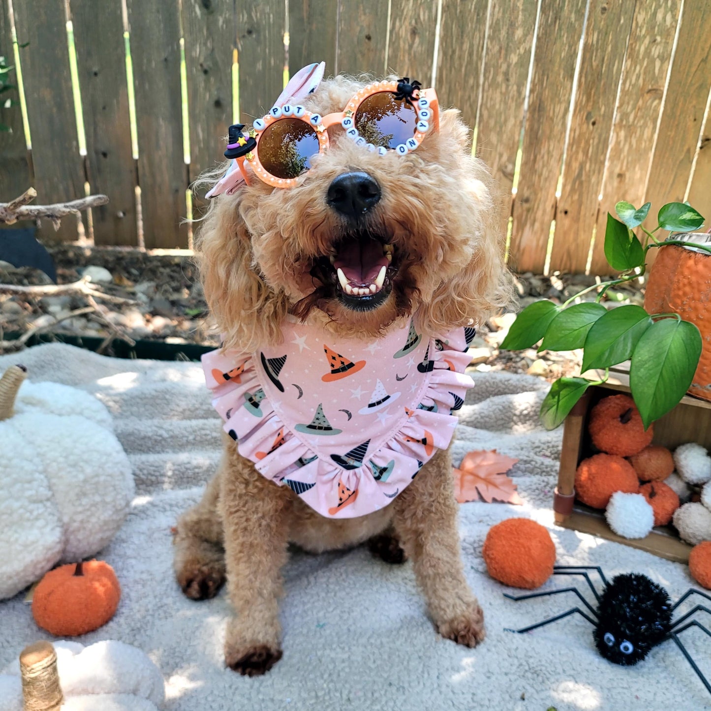 I Put a Spell On You Halloween Beaded Sunglasses