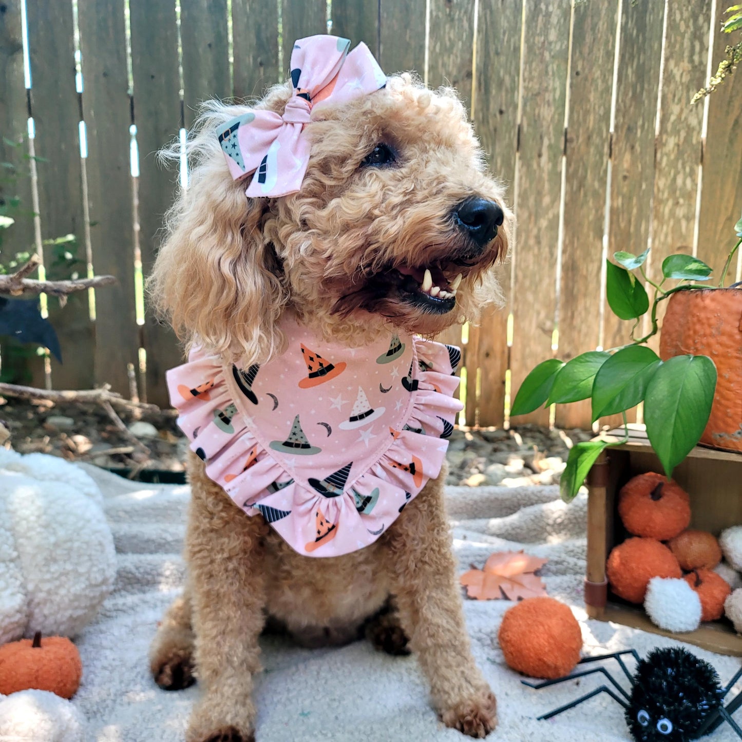 Witch Hat Saylor Hair Bow