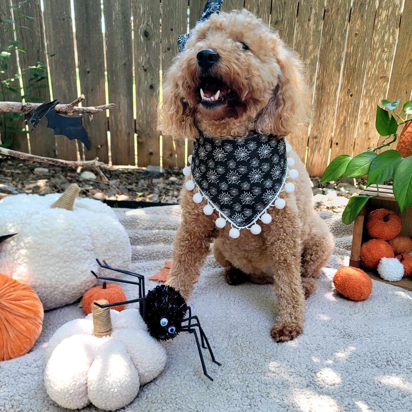 Fright Night Halloween Pumpkin and Ghost Dog Bandana With or Without Pom Pom Trim