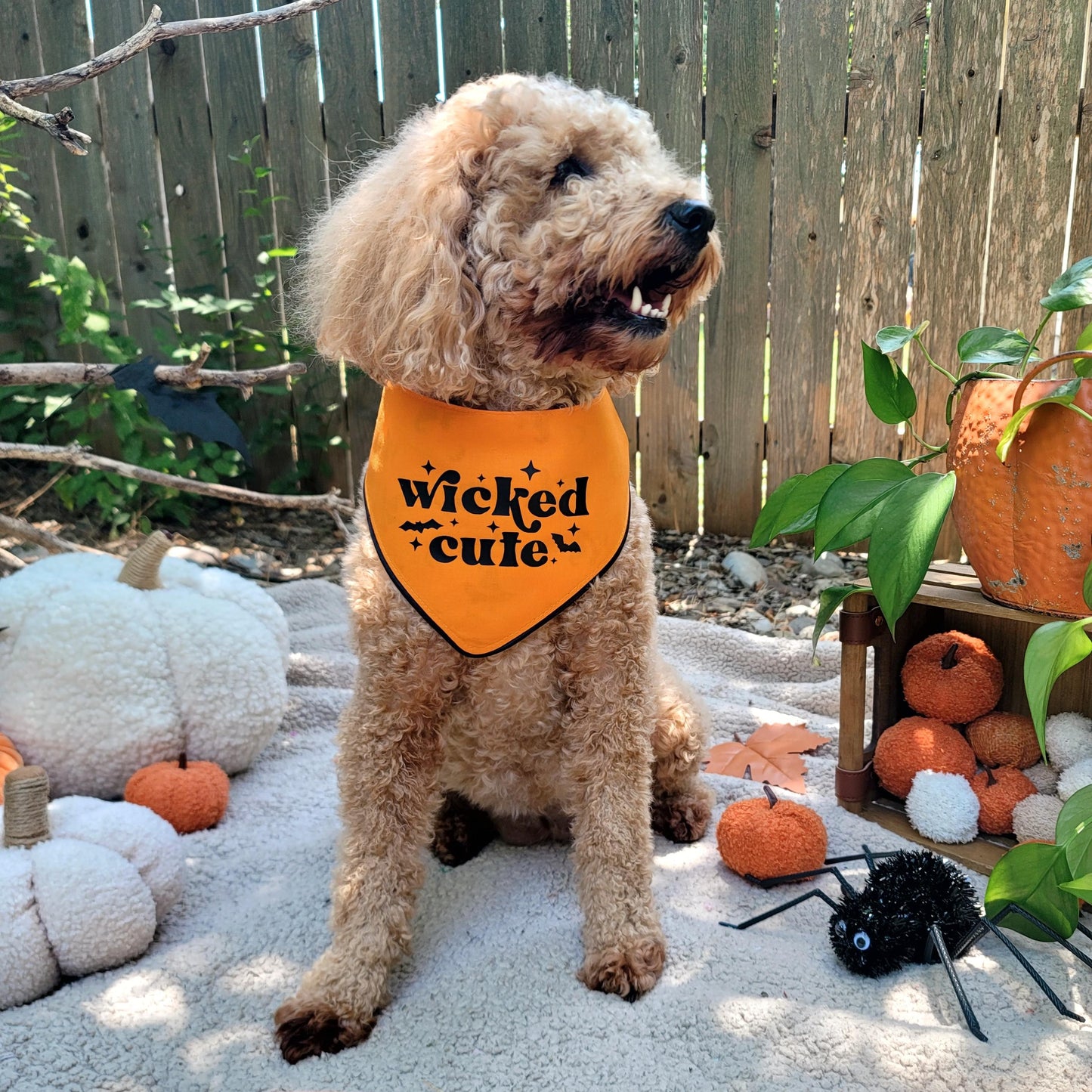 Wicked Cute Dog Bandana With or Without Ruffle Trim