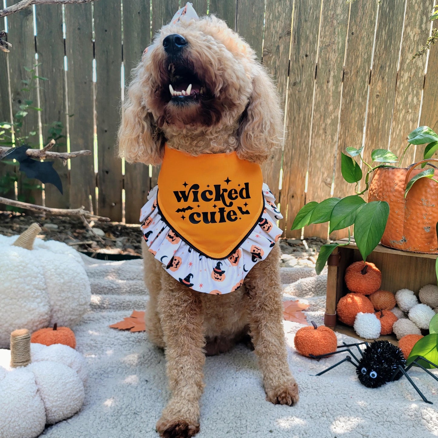 Wicked Cute Dog Bandana With or Without Ruffle Trim