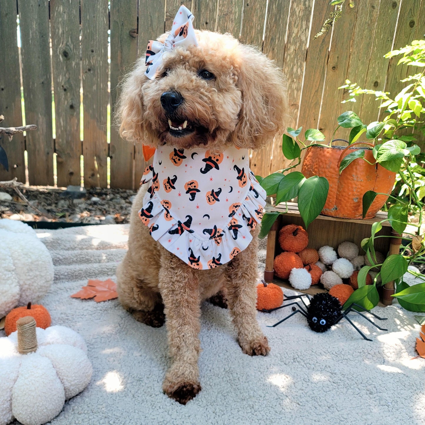 Wicked Cute Dog Bandana With or Without Ruffle Trim