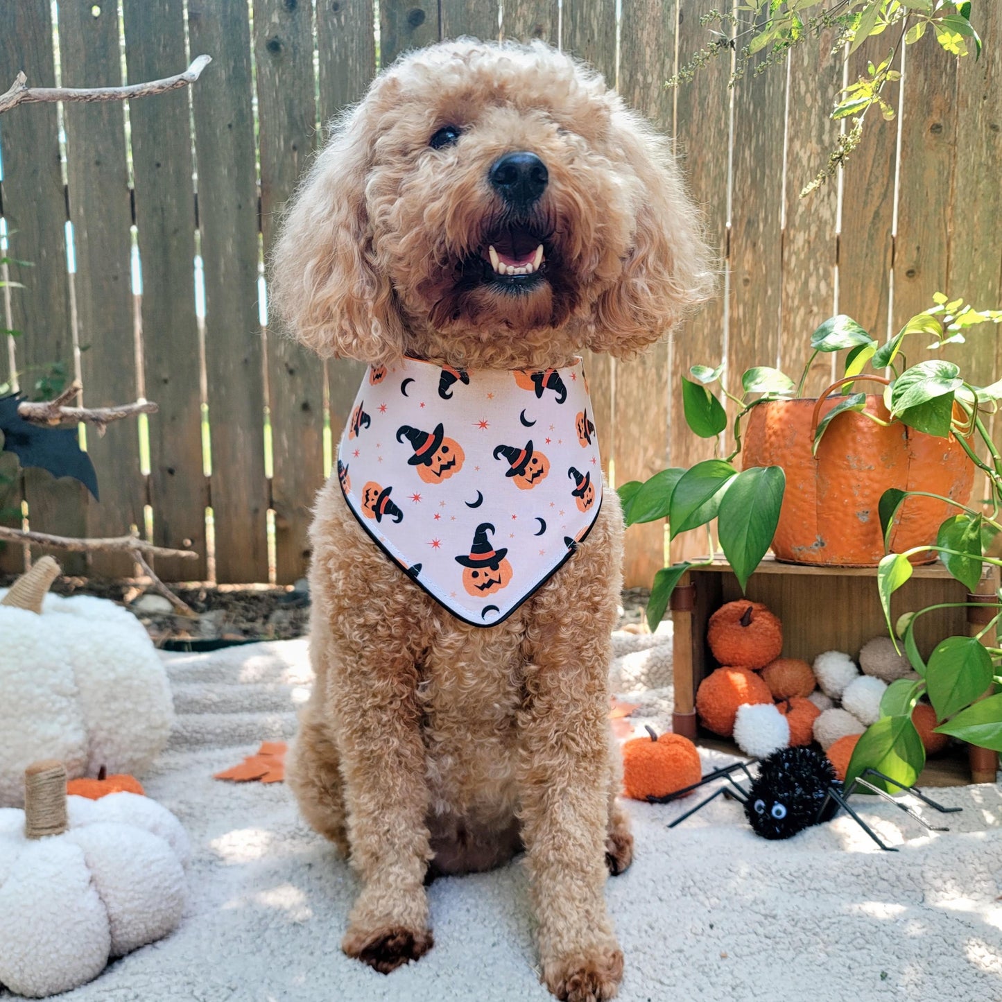 Wicked Cute Dog Bandana With or Without Ruffle Trim