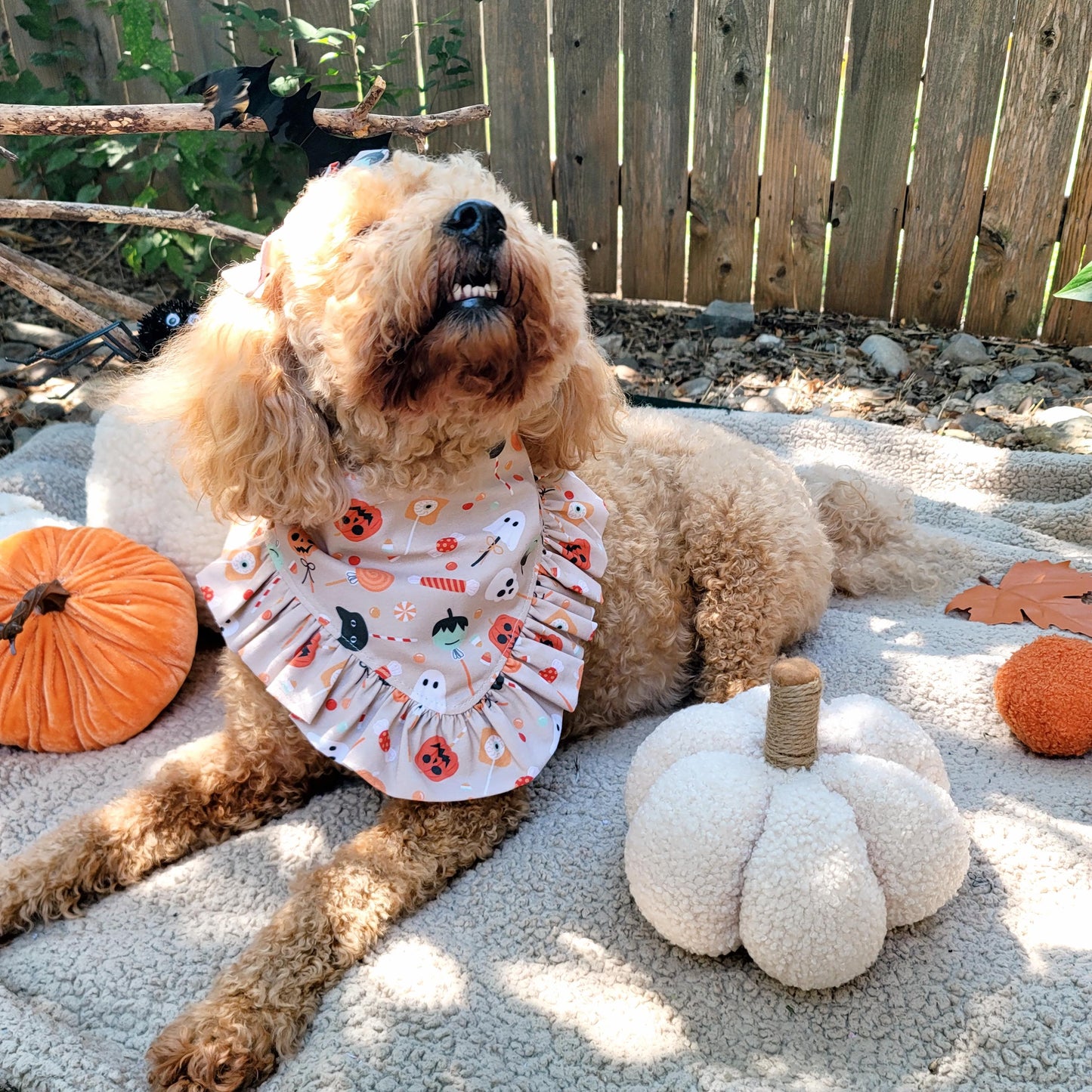Tricks For Treats Halloween Dog Bandana With or Without Ruffle Trim