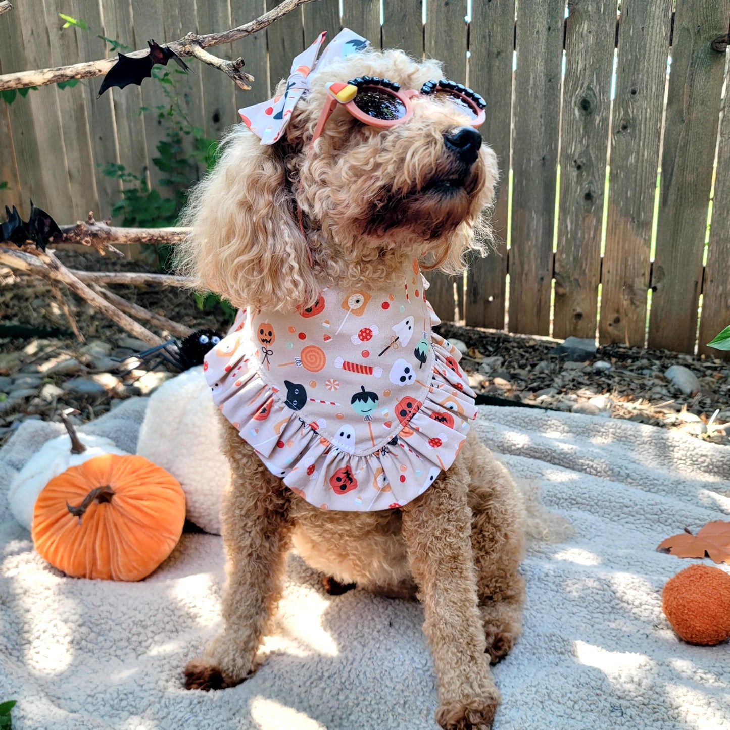 Tricks For Treats Halloween Dog Bandana With or Without Ruffle Trim