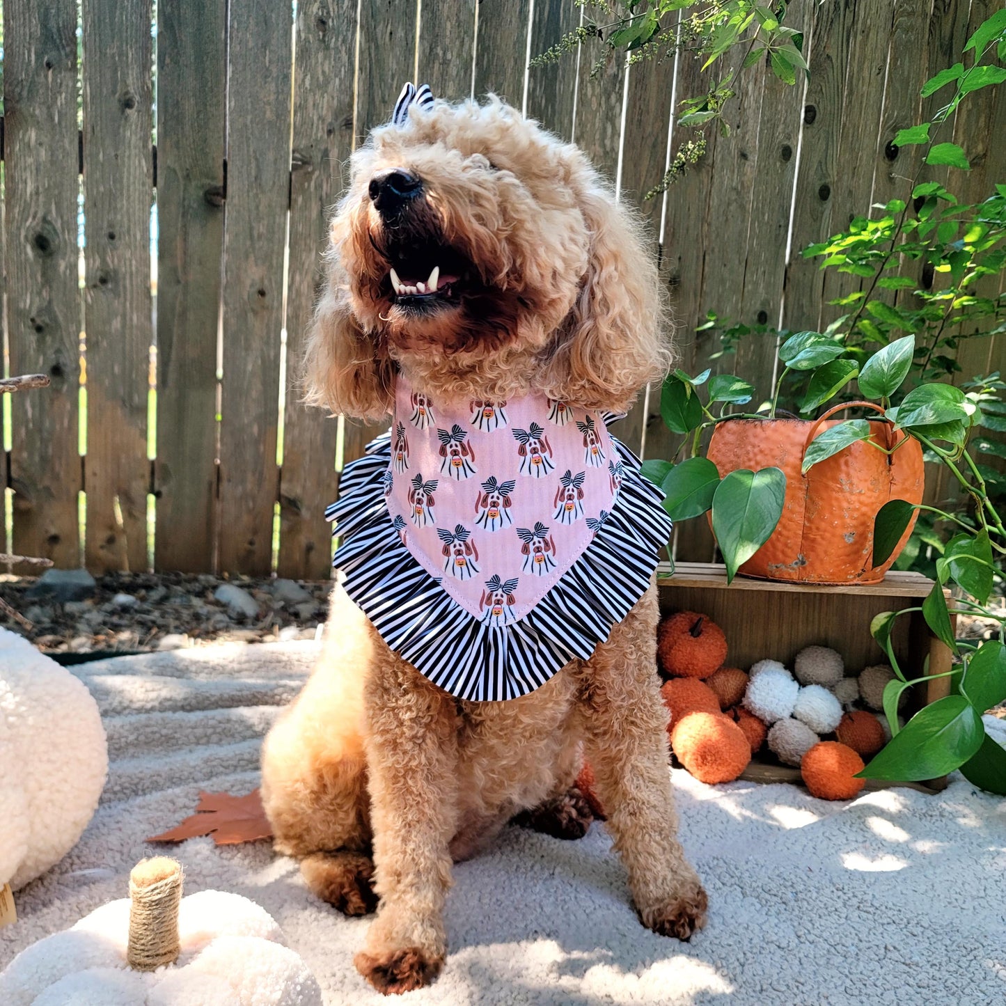 Ghost Dogs Halloween Dog Bandana With or Without Ruffle Trim