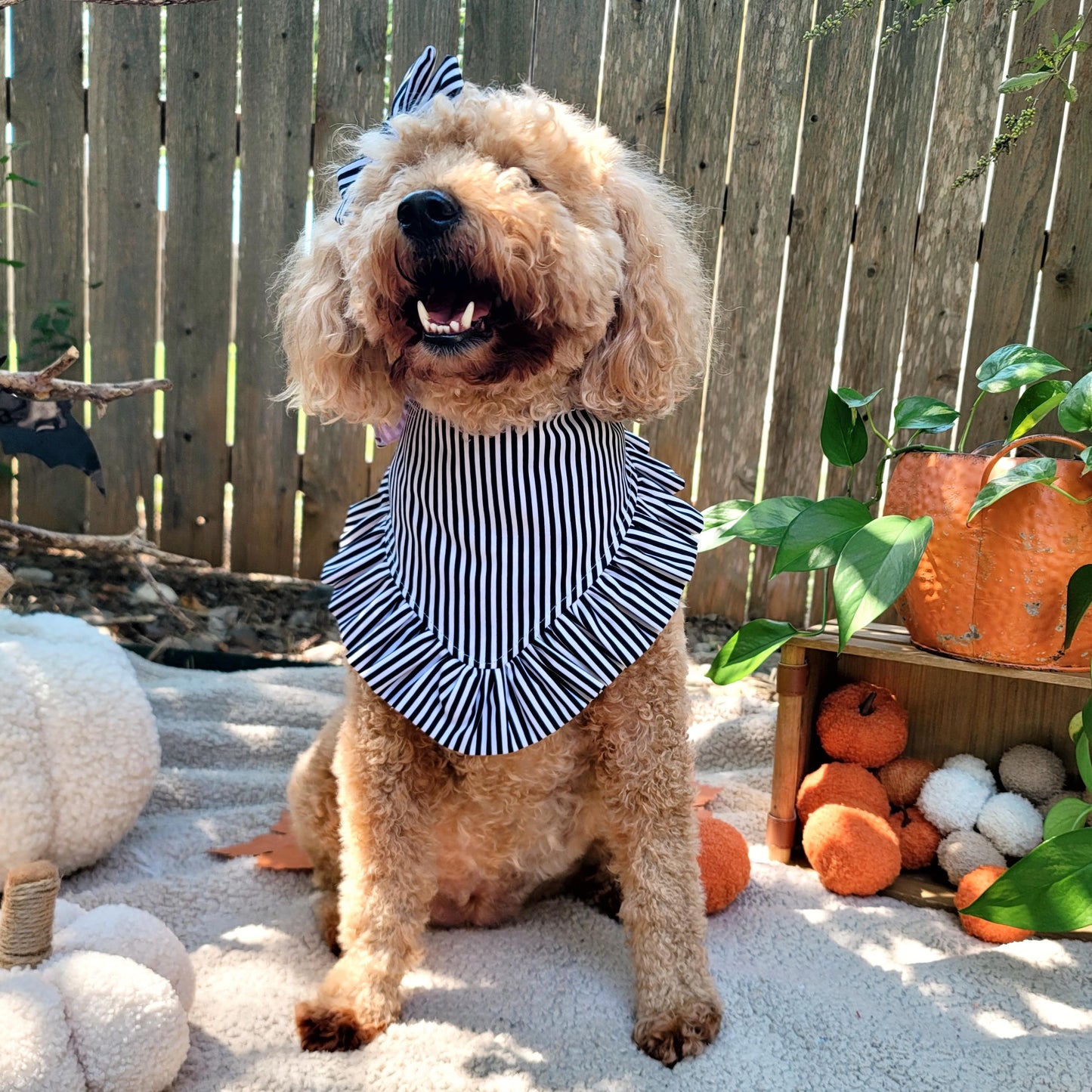 Ghost Dogs Halloween Dog Bandana With or Without Ruffle Trim