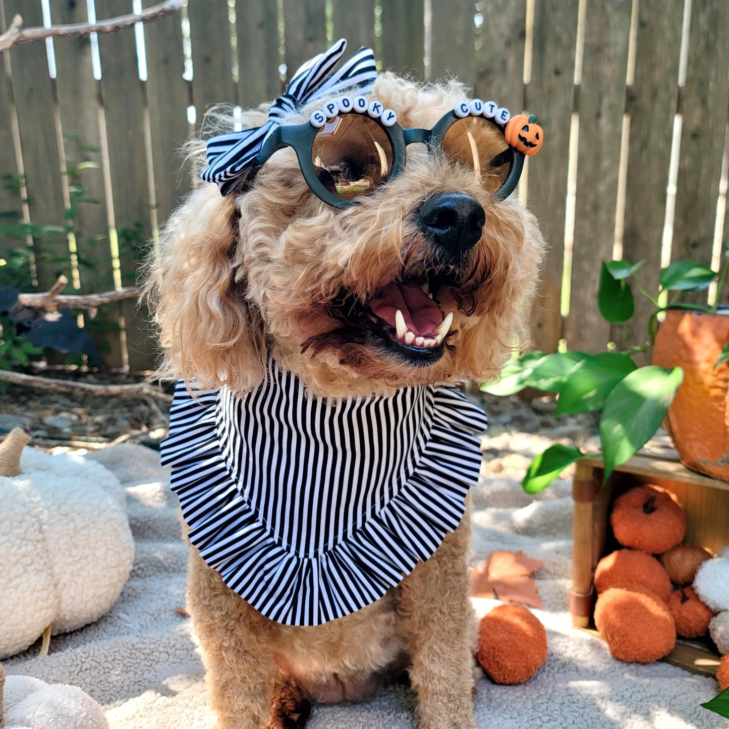 Spooky Cute Halloween Beaded Sunglasses