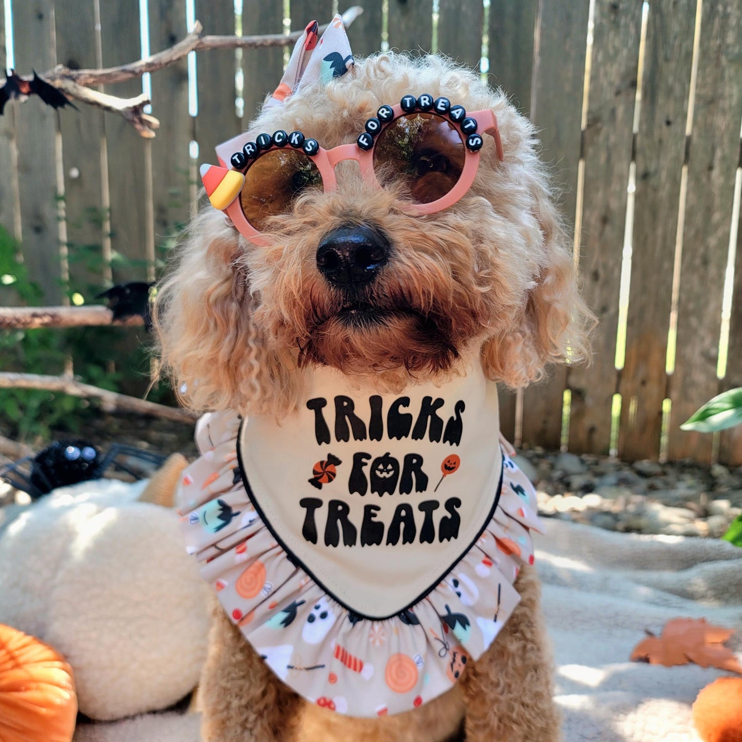 Tricks For Treats Halloween Beaded Sunglasses