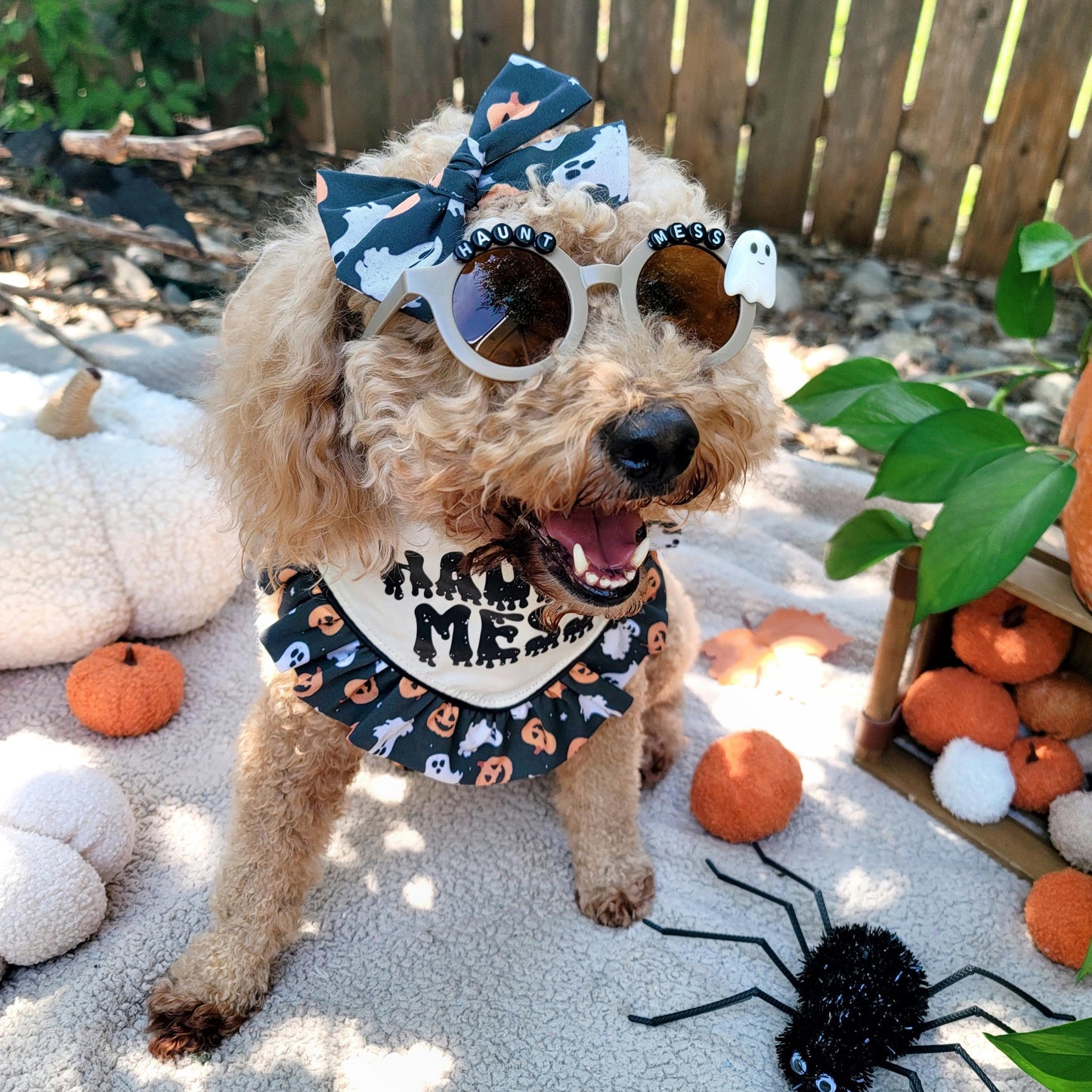 Haunt Mess Halloween Beaded Sunglasses