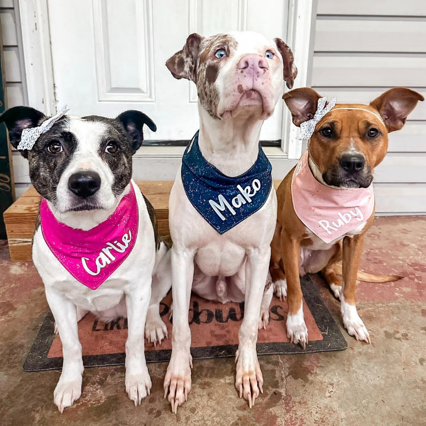 NEW Navy Speckled Dog Bandana With Optional Name Add On