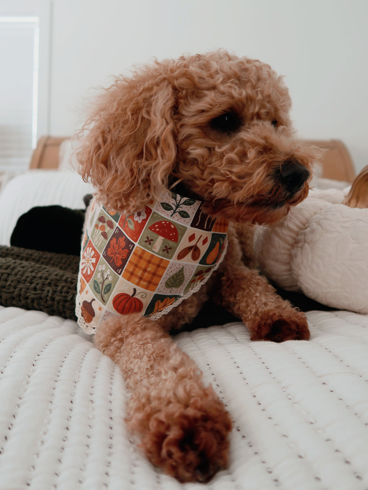 Folky Fall Quilted Bandana